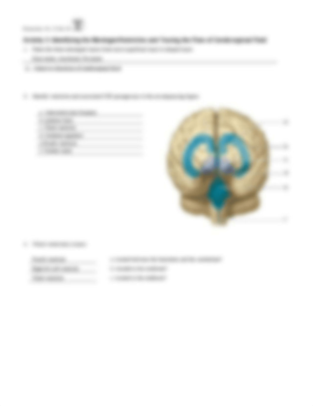 8. Unit 8 laboratory exercise 14, 15, & 16 (1) Finished.docx_dl4ruojf2v5_page4