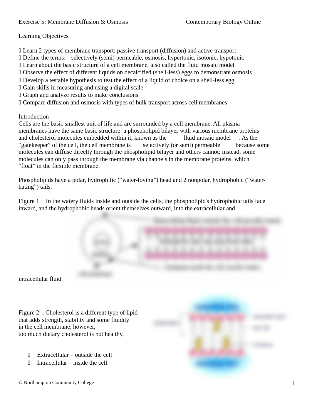 Lab 5 Membrane Diffusion and Osmosis Contemporary Biology Online2020(1).docx_dl54ghwb7nv_page1