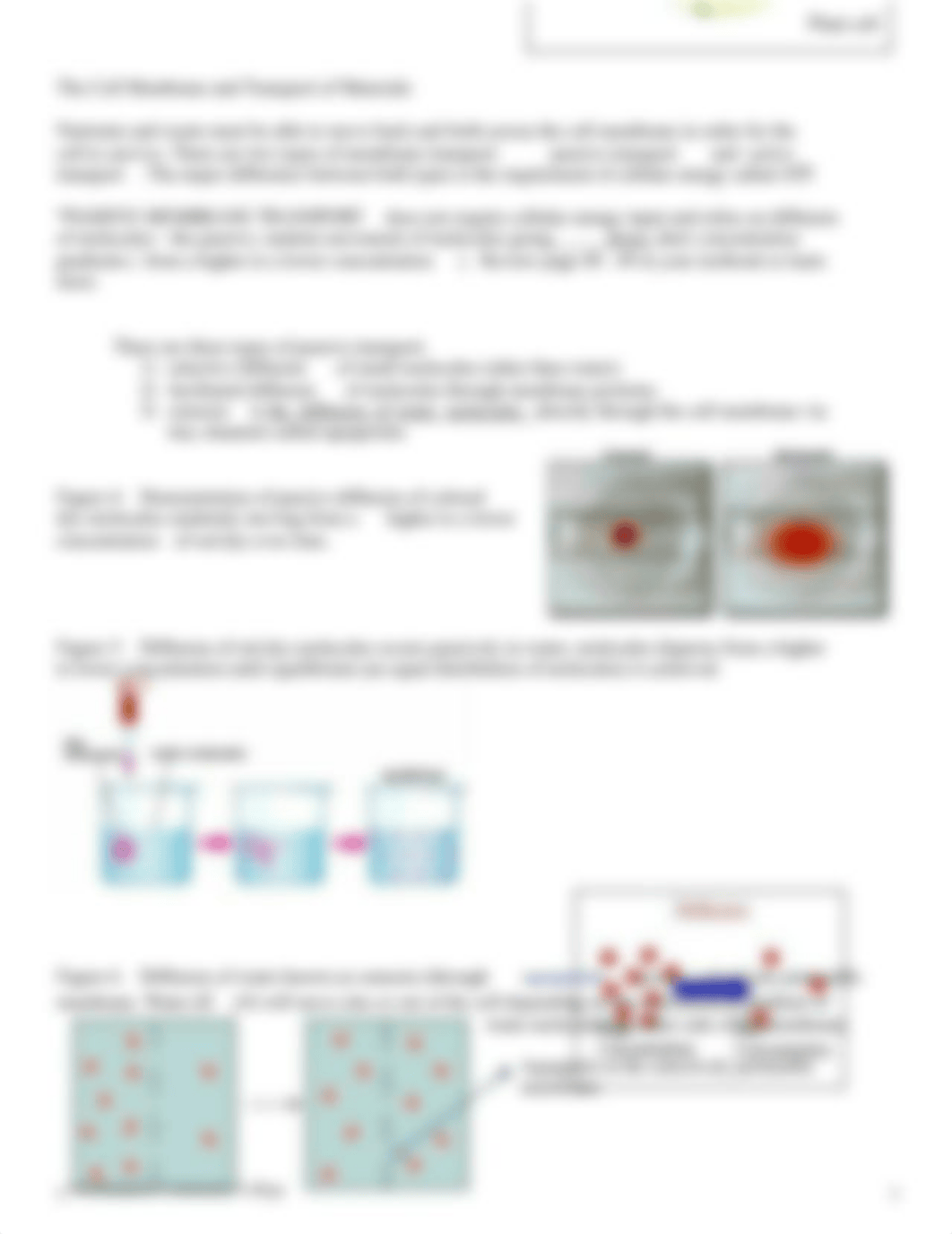 Lab 5 Membrane Diffusion and Osmosis Contemporary Biology Online2020(1).docx_dl54ghwb7nv_page3