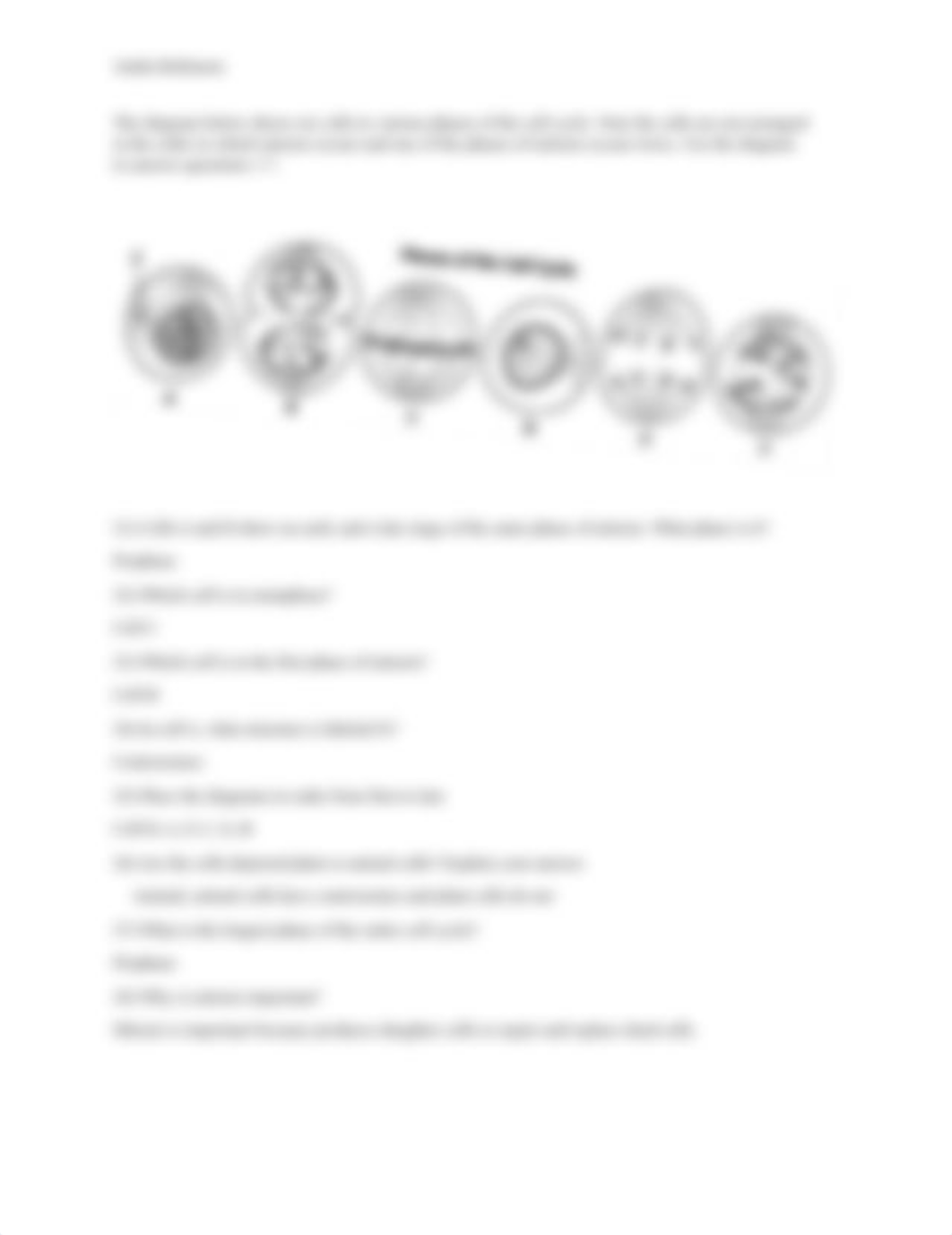 Mitosis assignment (1)_dl55bz03a6v_page2