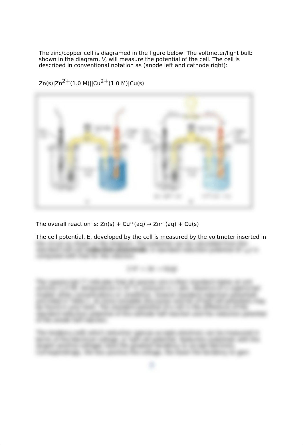 EXP 11 ONLINE Electrochemical Cells.docx_dl59zymveqe_page3