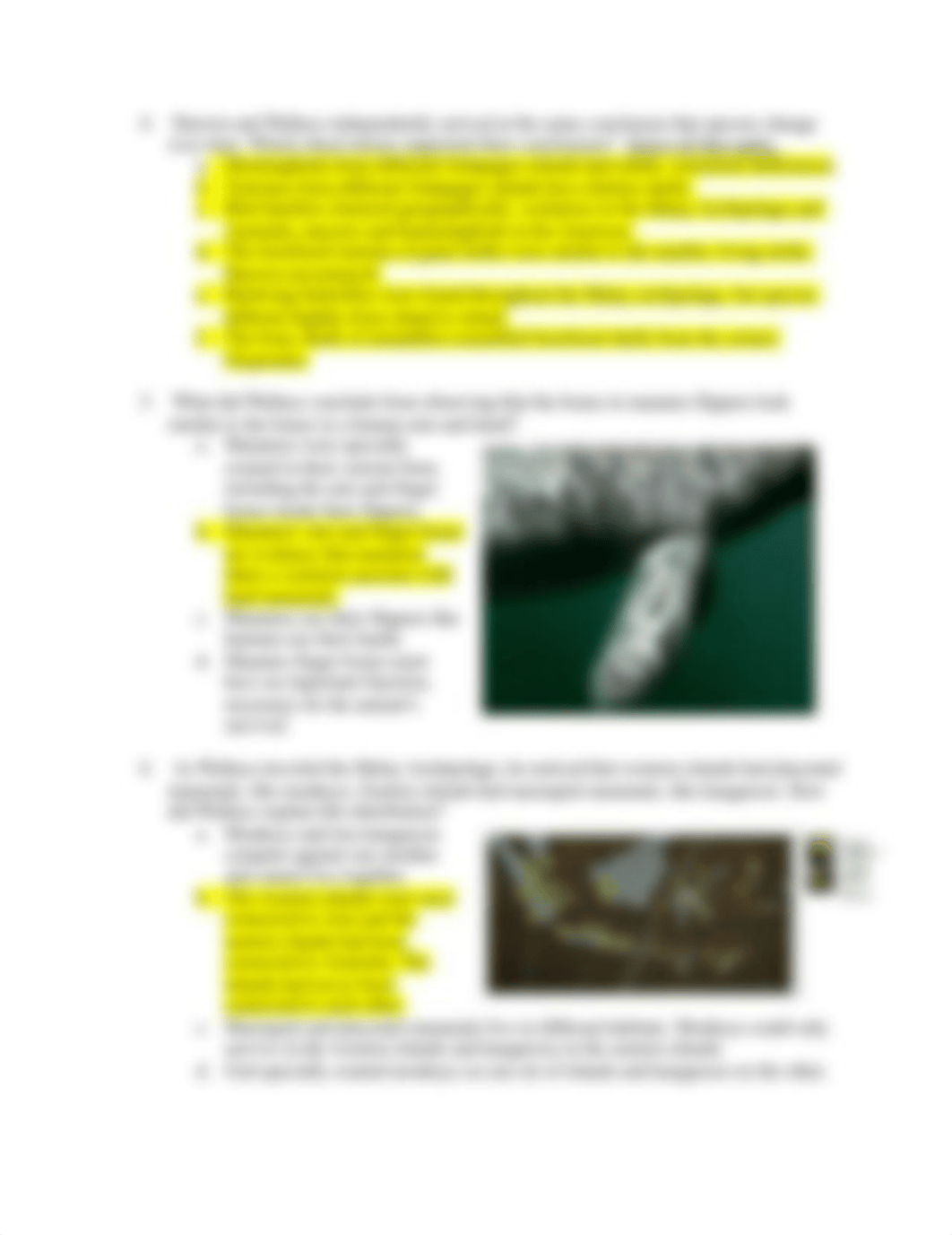 Making of a Theory-Darwin, Wallace, and Natural Selection Worksheet.docx_dl5c9c42xf9_page2