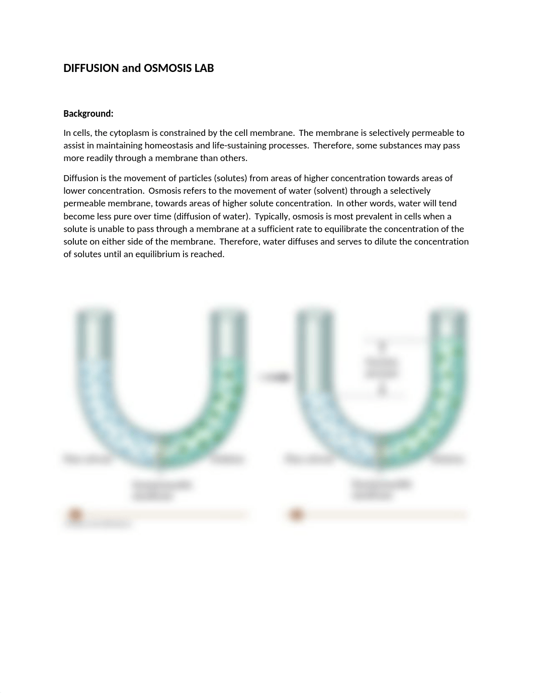 lab 3a.docx_dl5di712xdy_page1