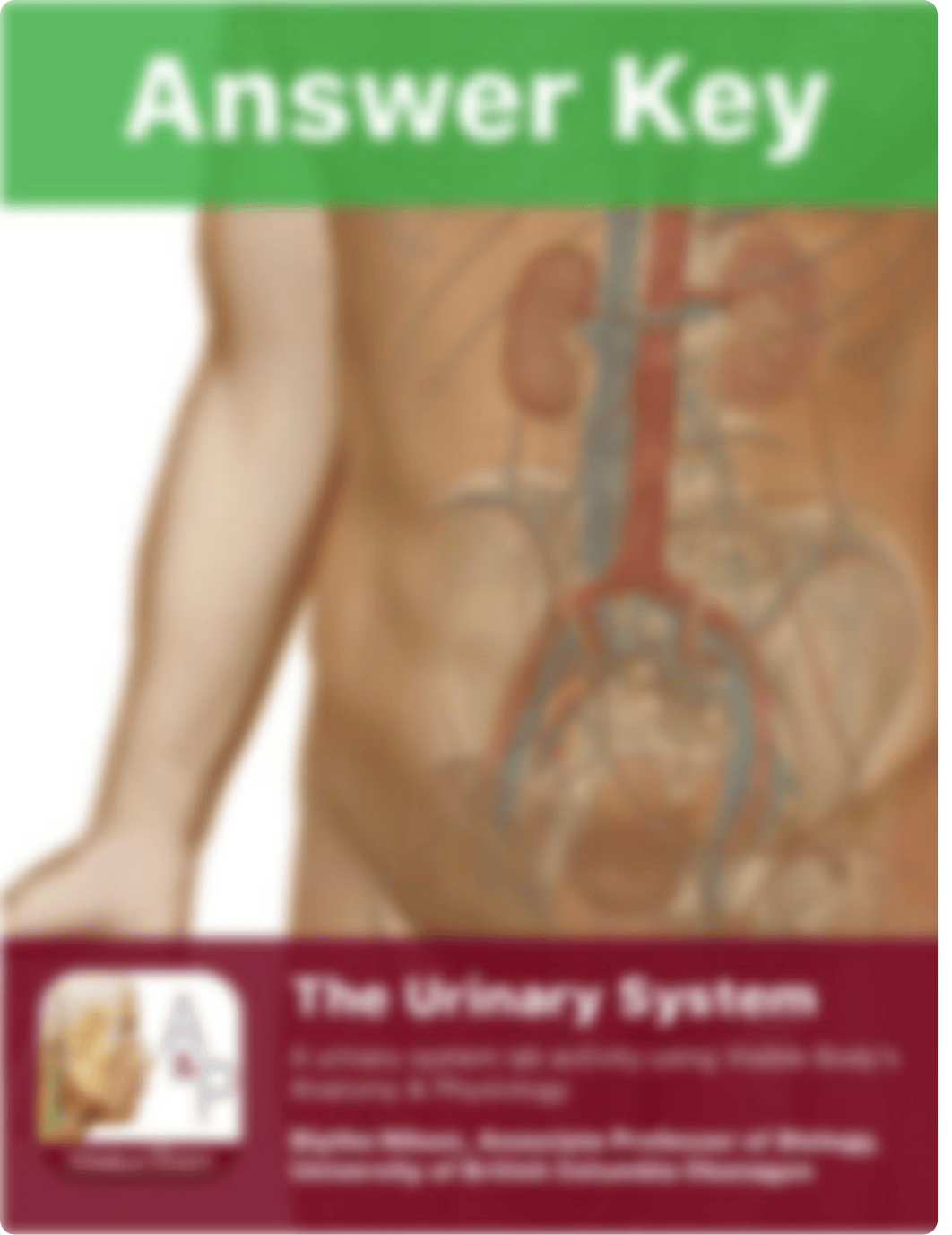 urinary-ap-answer-key.pdf_dl5evezwdao_page1