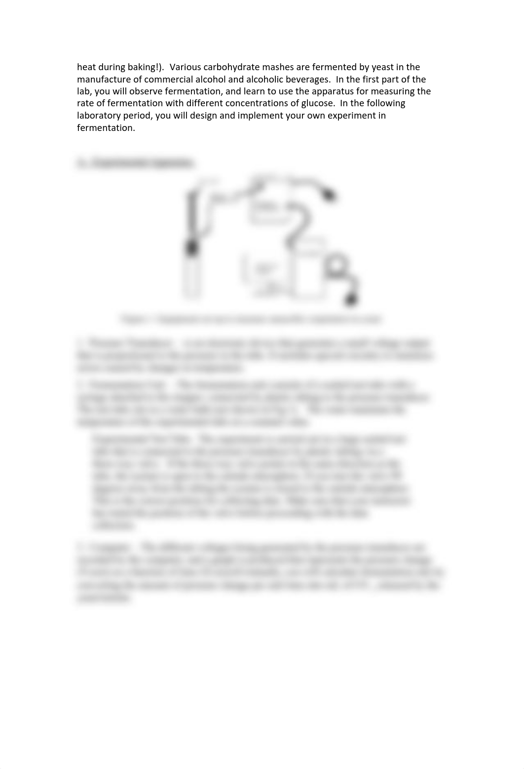 05 Fermentation in Yeast_17s.pdf_dl5fcdk00ow_page2