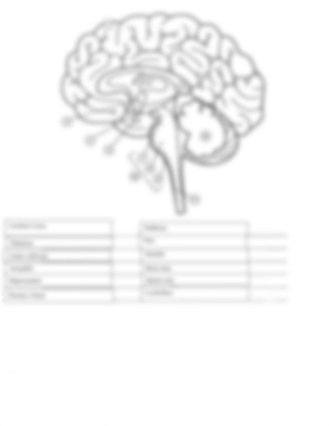 Neuron and Brain Assignment (1).docx_dl5hr7xhg76_page2