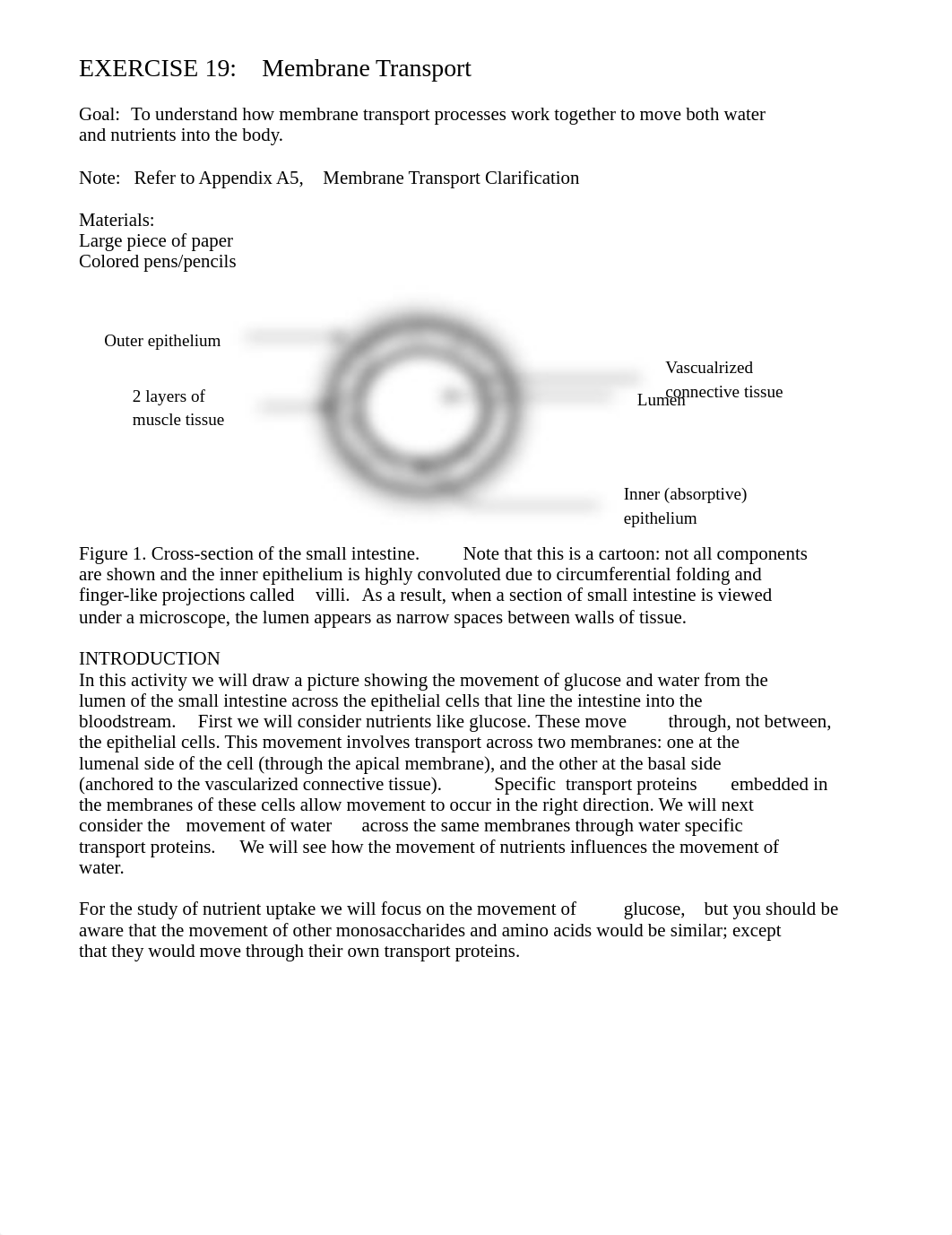 EXERCISE 19 (1).pdf_dl5mowj6g91_page1