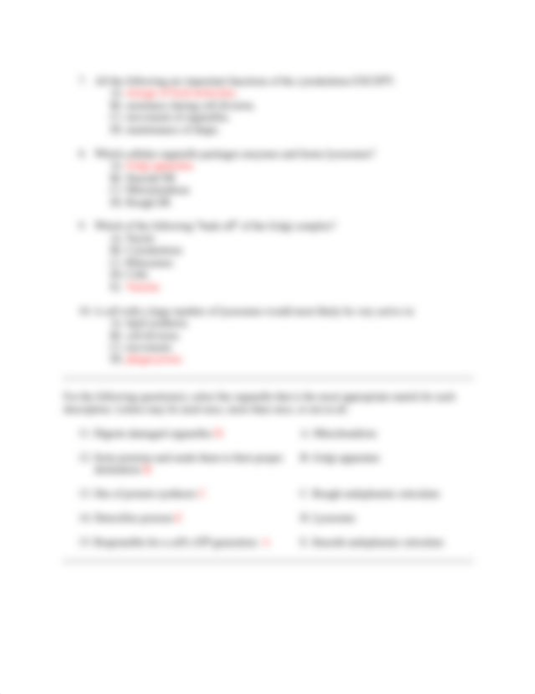 Study Guide 3 - BIO.docx_dl5vxhqz6nr_page4