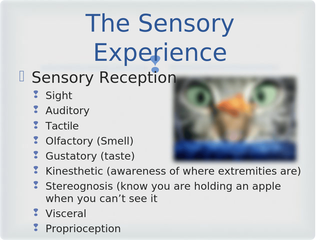 Sensory Alterations (AS).ppt_dl5x1yuj5wj_page2