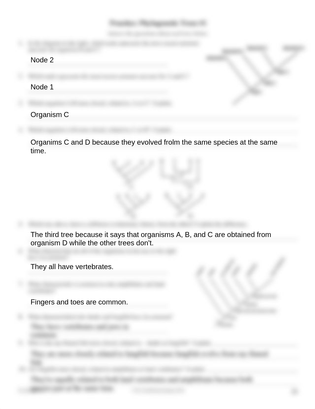 Practice Phylogenetic Trees DC.pdf_dl61wczrq2d_page1