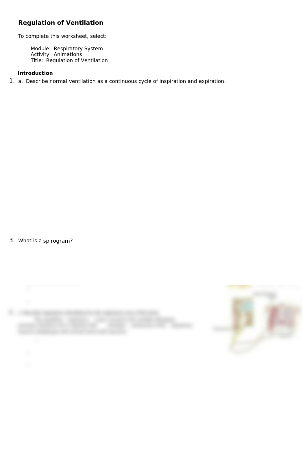 A&P 2 Chapt 23 Regulation of ventilation.pdf.docx_dl63rb4wvj1_page1