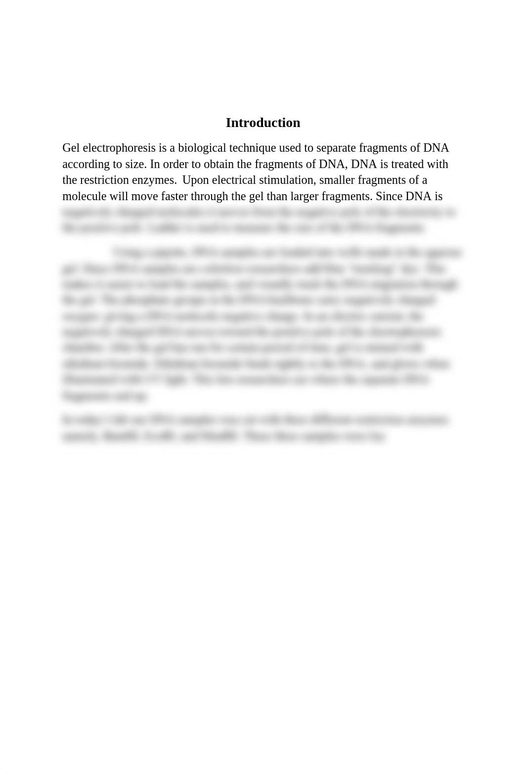 Gel Electrophoresis Lab Report_dl67s8olvbo_page3