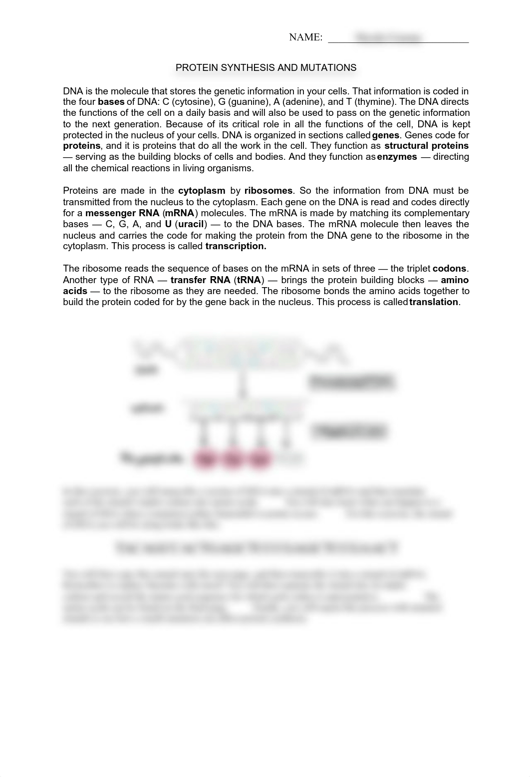 Protein Synthesis Homework.pdf_dl6axqytk9j_page1