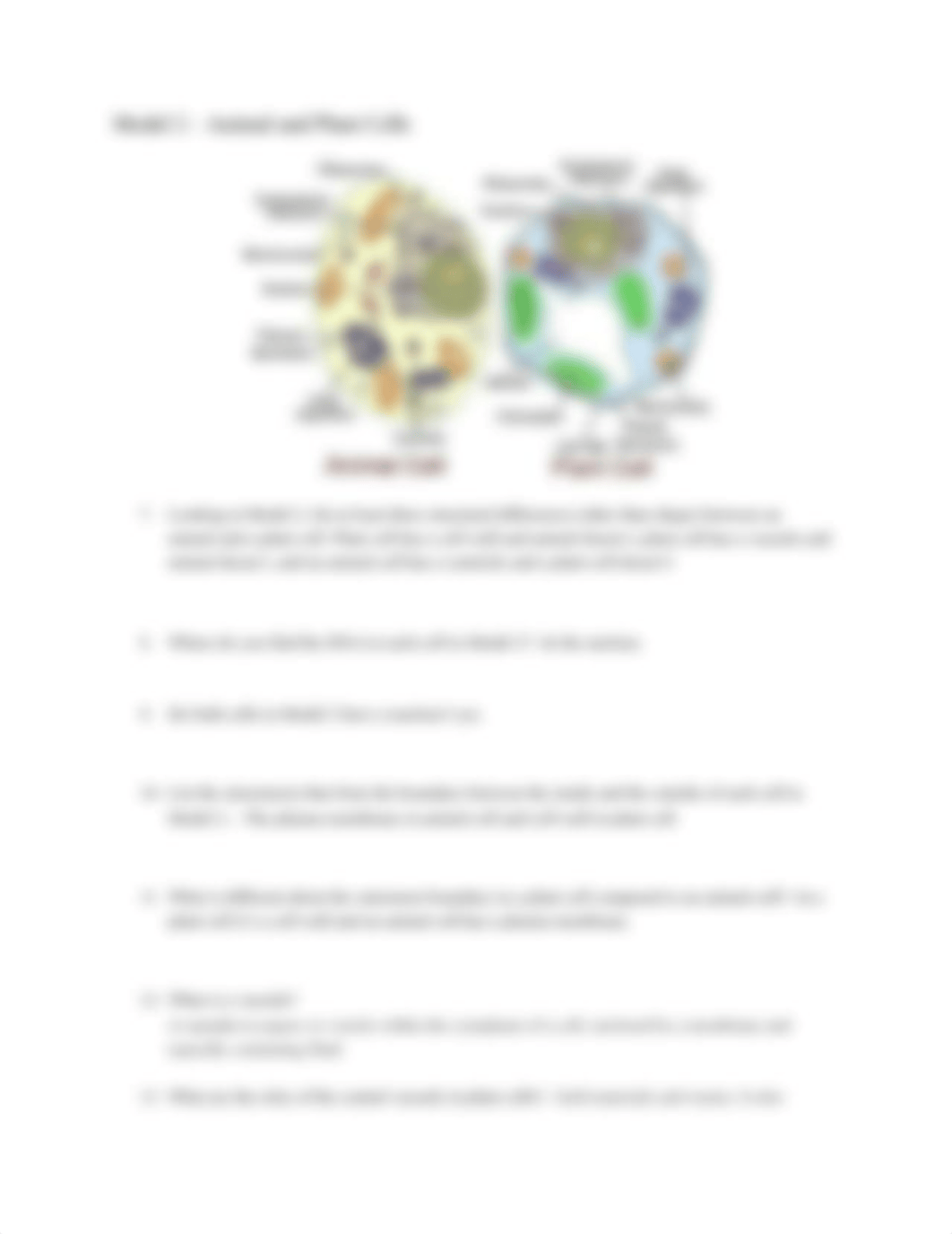 Prokaryotic and Eukaryotic Cells.docx_dl6iojwtxbz_page3