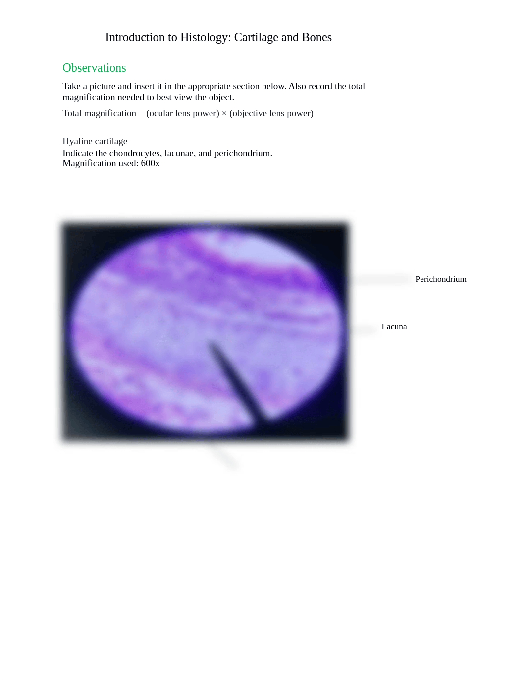 BIO201-Introduction-to-Histology_Cartilage-and-Bones_Answer-sheet_.docx_dl6or764z0c_page1