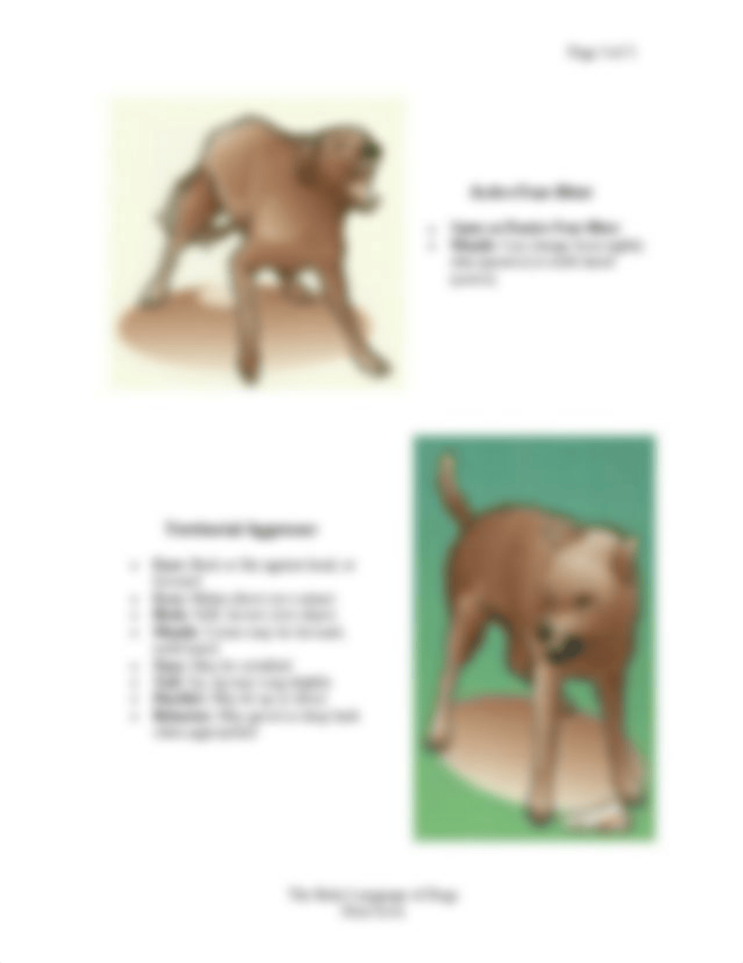 2 The Body Language of Dogs.pdf_dl6rl6puvma_page3