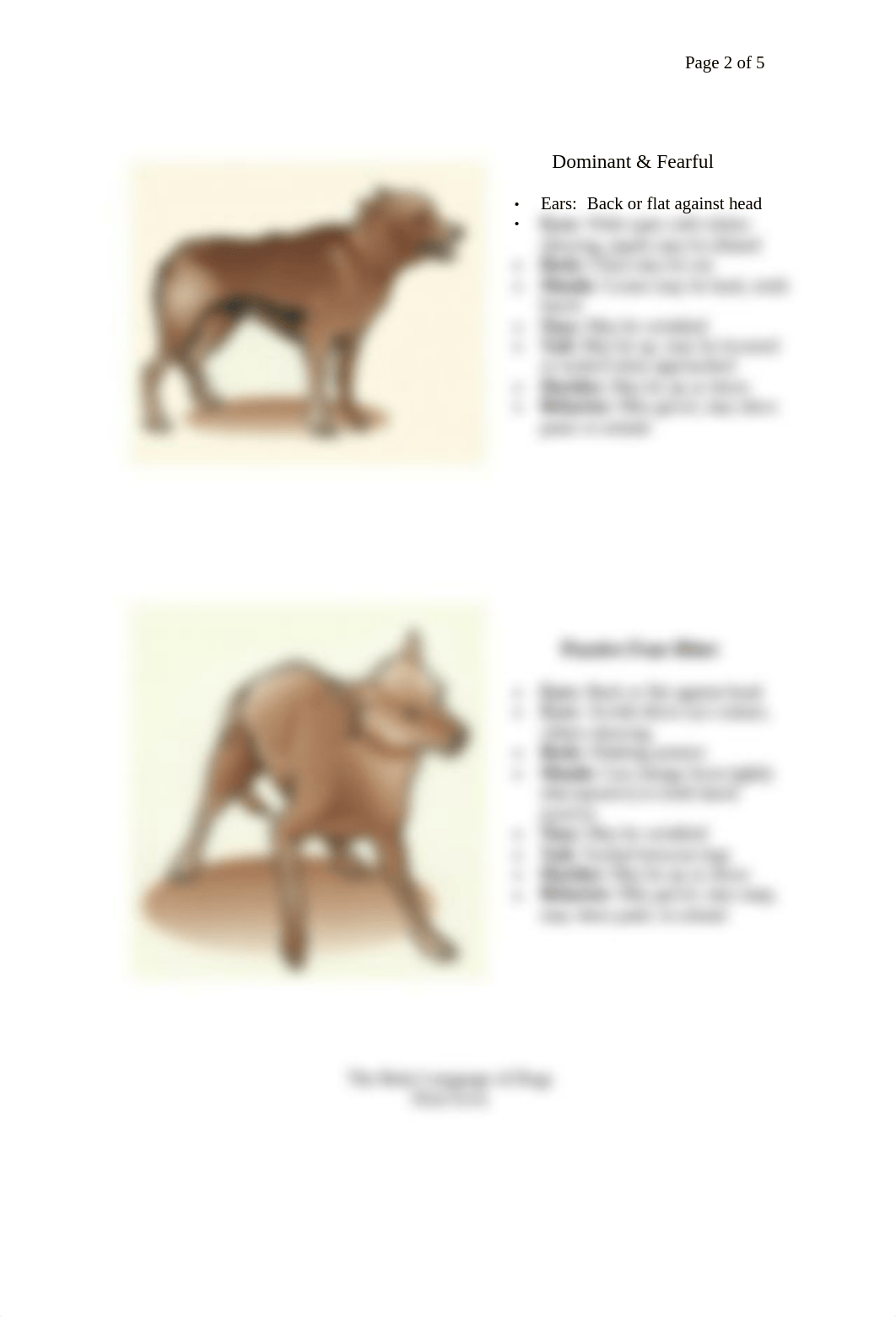 2 The Body Language of Dogs.pdf_dl6rl6puvma_page2