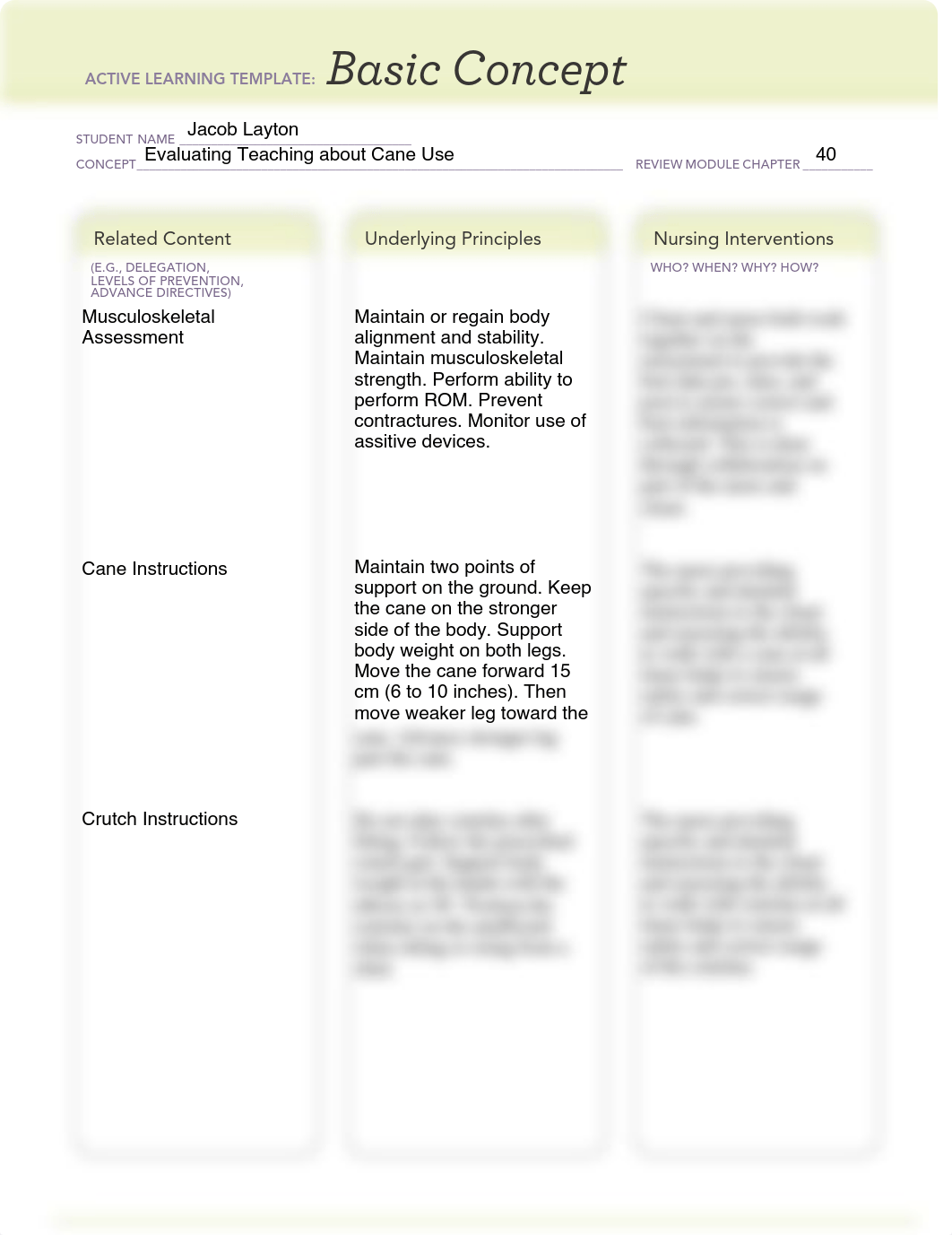 Focused_Review (Evaluating Teaching about Cane Use).pdf_dl6sdswslii_page1