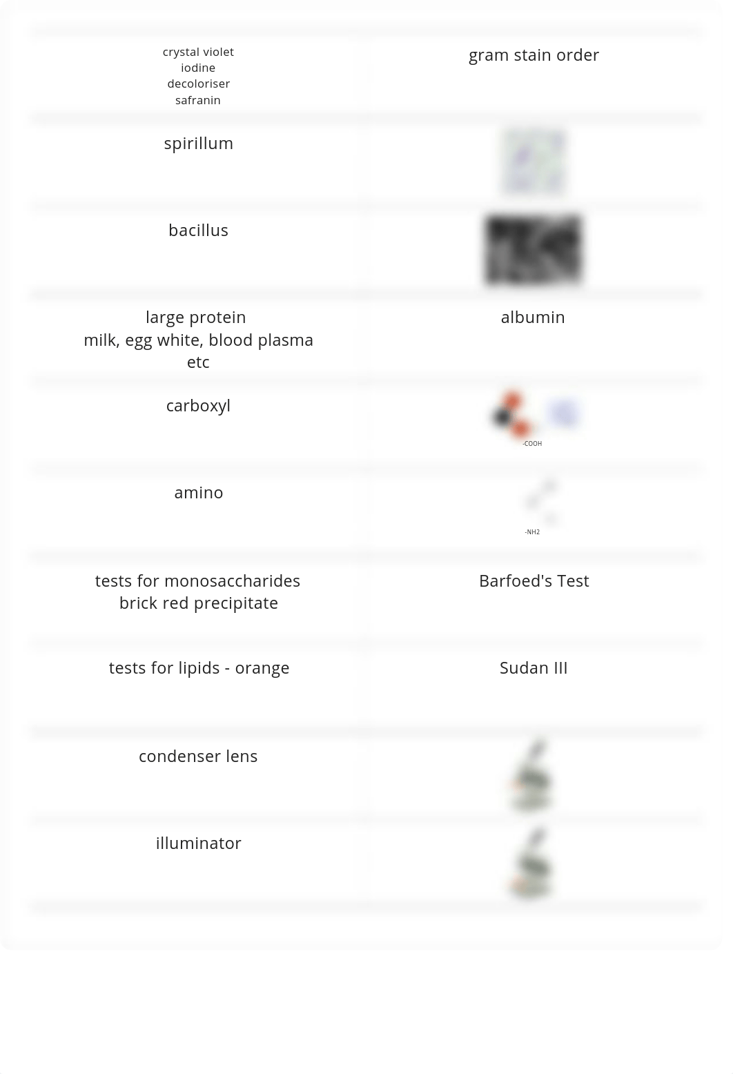 bio lab midterm_dl6yrvfgxl3_page5