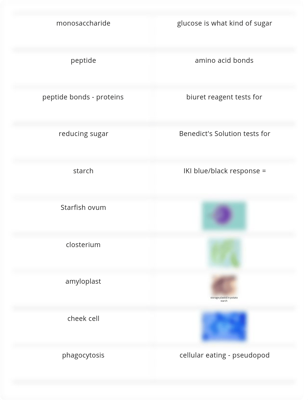 bio lab midterm_dl6yrvfgxl3_page2