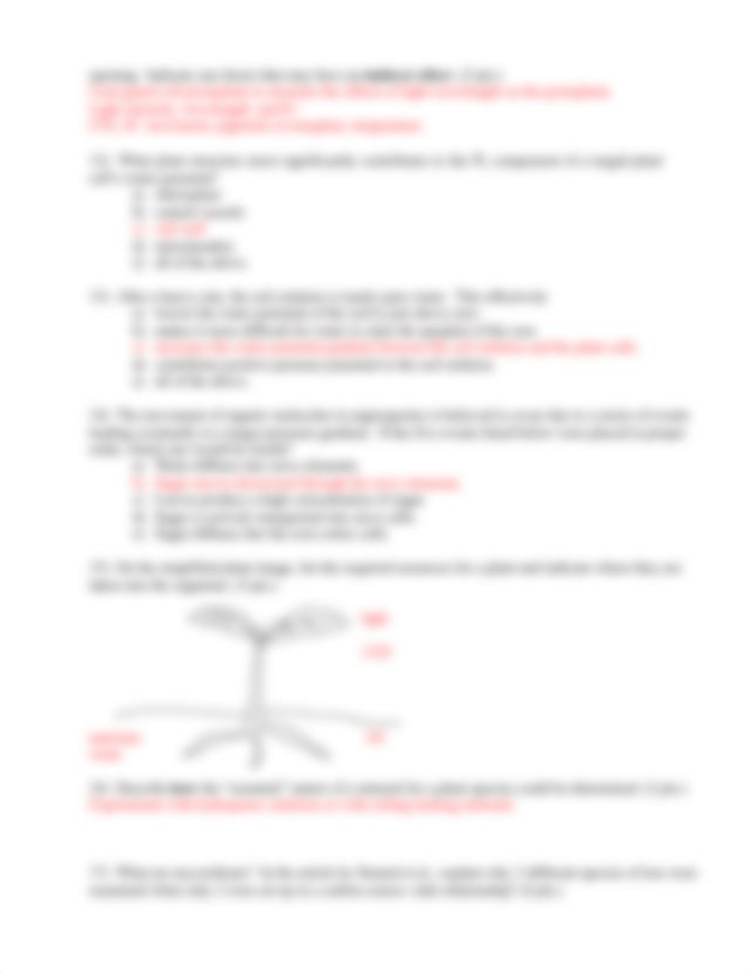 220Example_exam_questions_Moore_Answ_dl783z4lkx6_page3