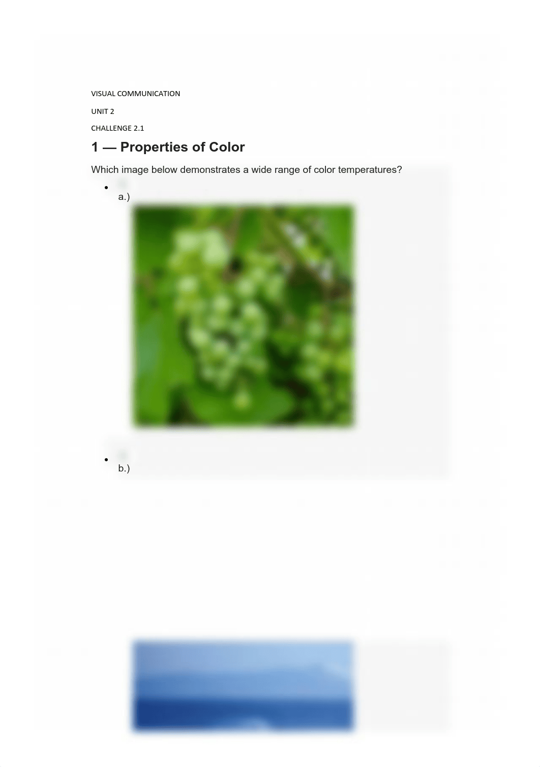 UNIT 2 Challenge 2 - SOPHIA LEARNING.pdf_dl7b5w151ri_page1