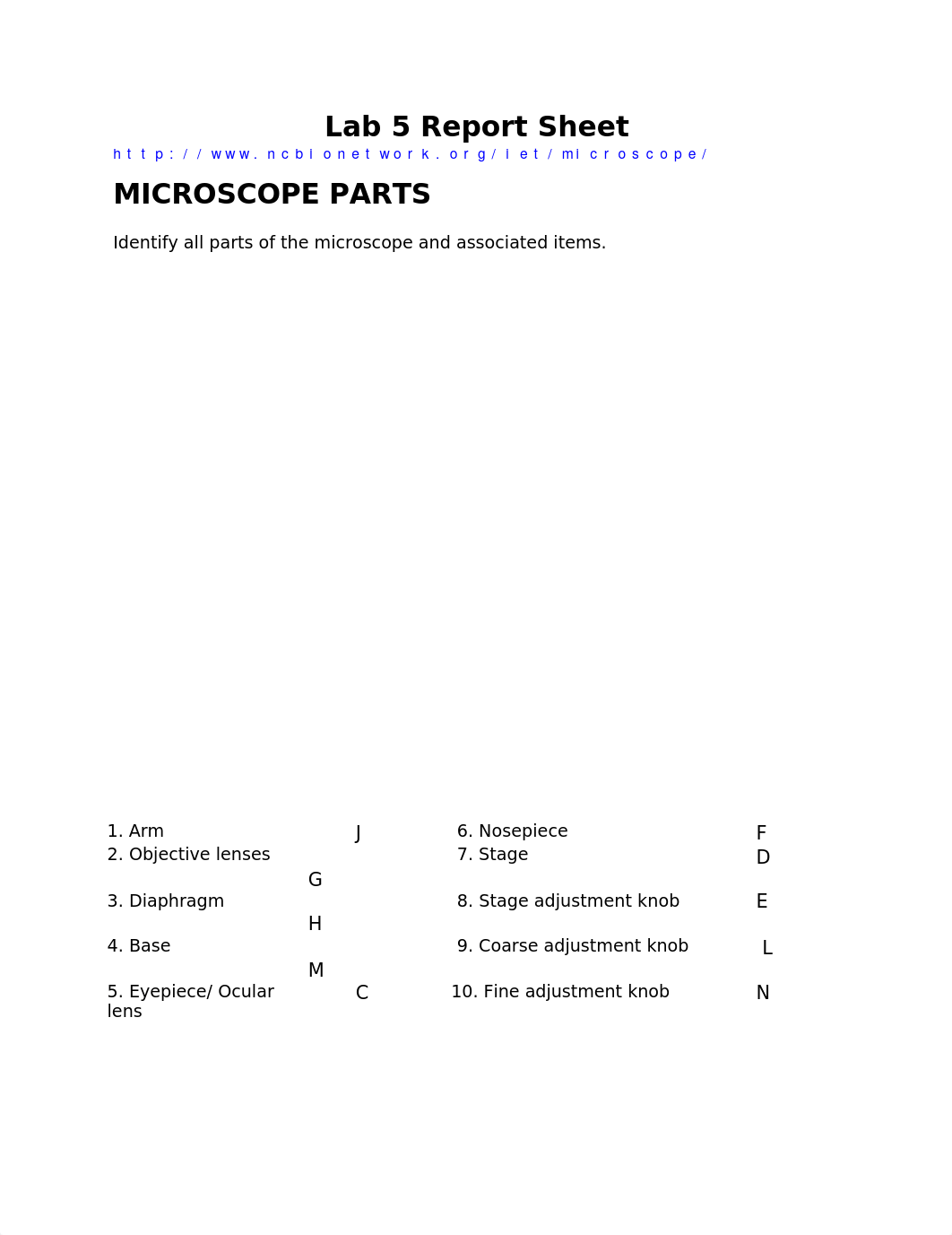 Lab 5 - Report Sheet.docx_dl7dv83i2lf_page1