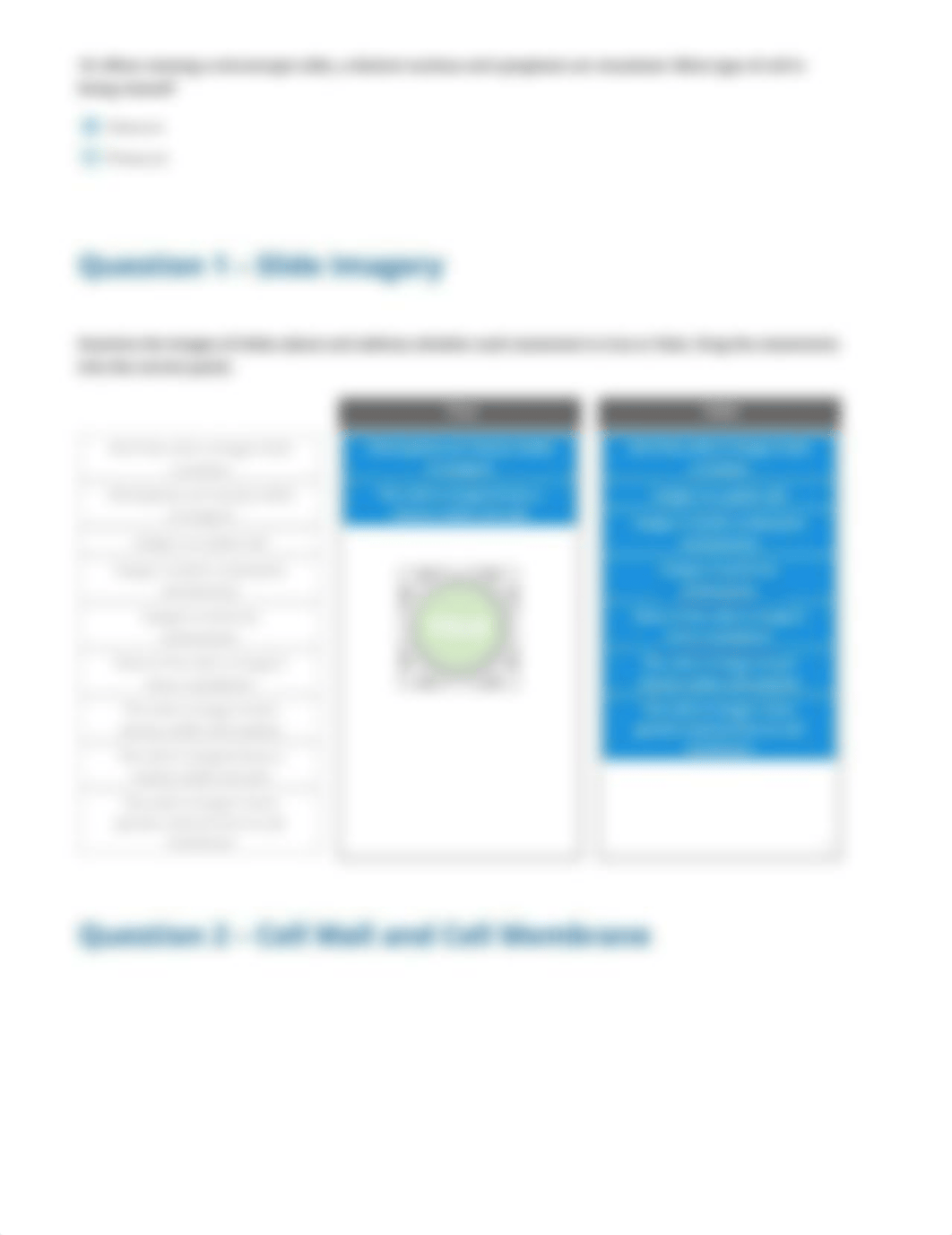 Cells - Prokaryotic and Eukaryotic - Evaluation report (2)_dl7gqmhk25l_page3