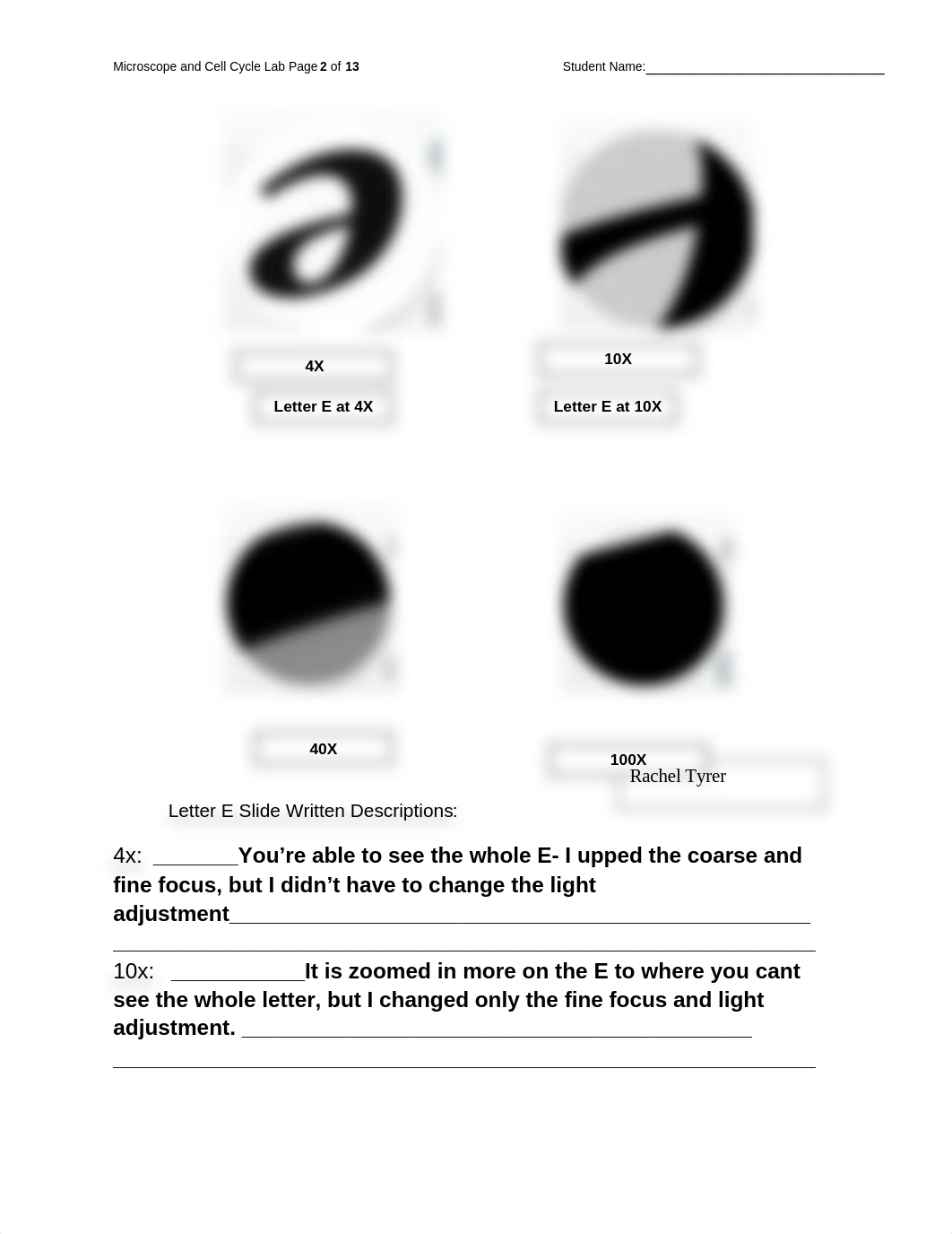 Lab Reports 2 & 3 - Microscopes and Cell Cycle RPT.docx_dl7ldla8688_page2