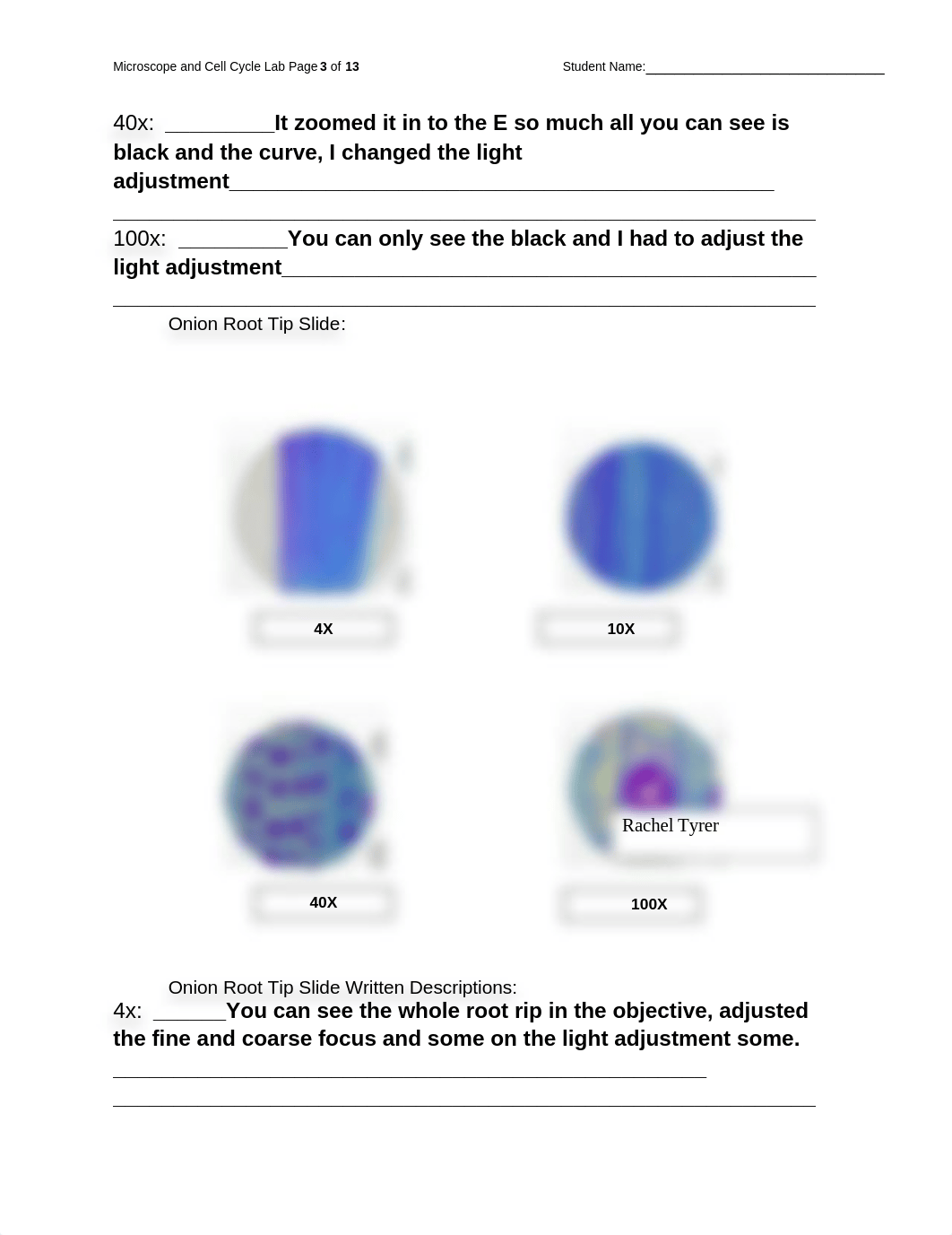 Lab Reports 2 & 3 - Microscopes and Cell Cycle RPT.docx_dl7ldla8688_page3