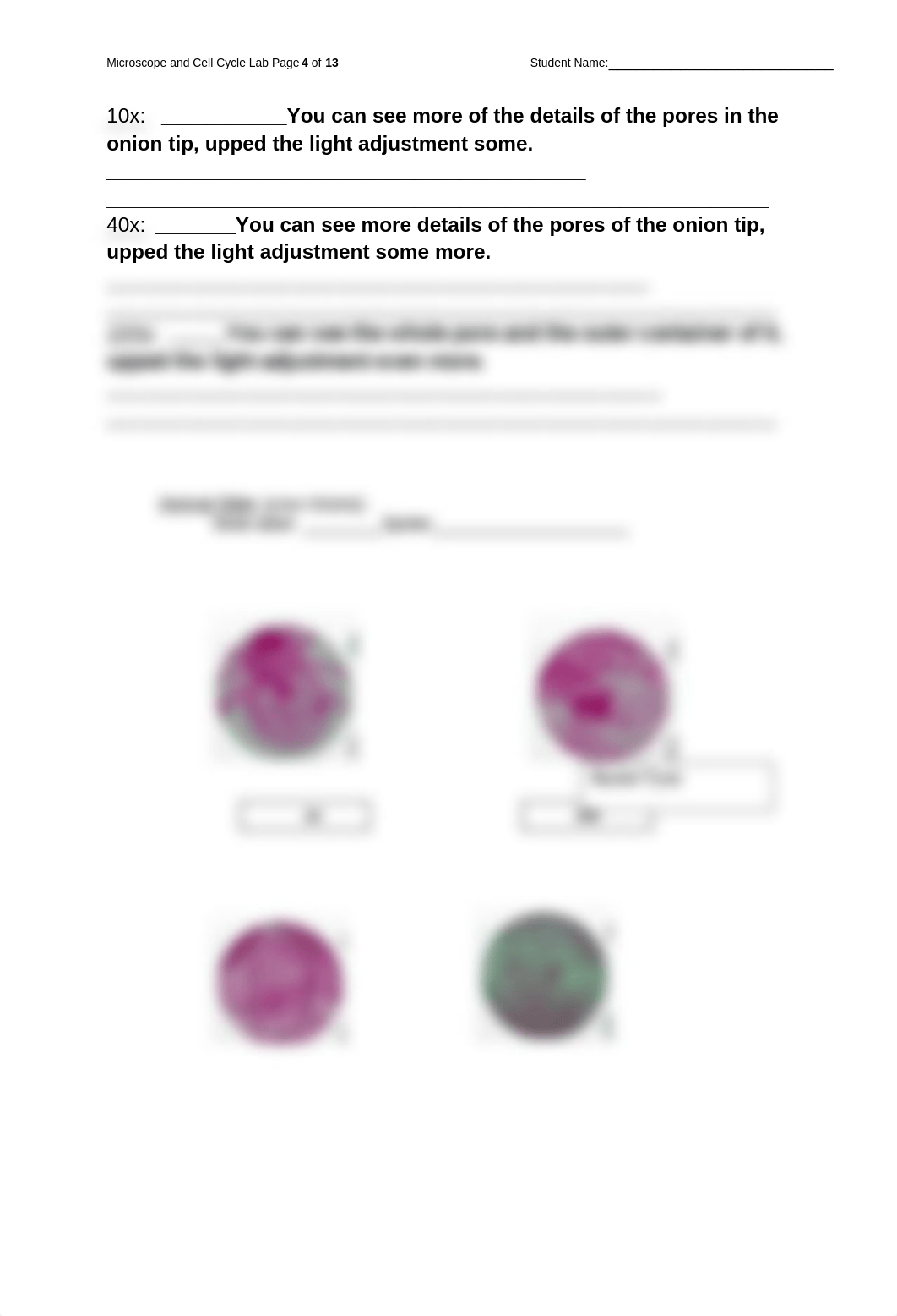 Lab Reports 2 & 3 - Microscopes and Cell Cycle RPT.docx_dl7ldla8688_page4