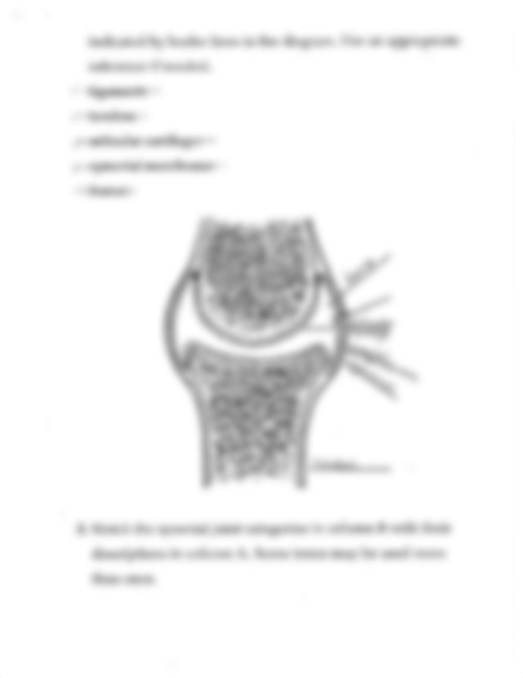 Lab Manuel Exercise 11.pdf_dl7ut74vxiz_page3