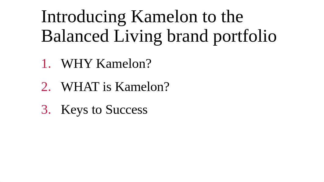 C204_Task2_AngieS_Kamelon Product Launch FINAL.pdf_dl7v3p4dmay_page2