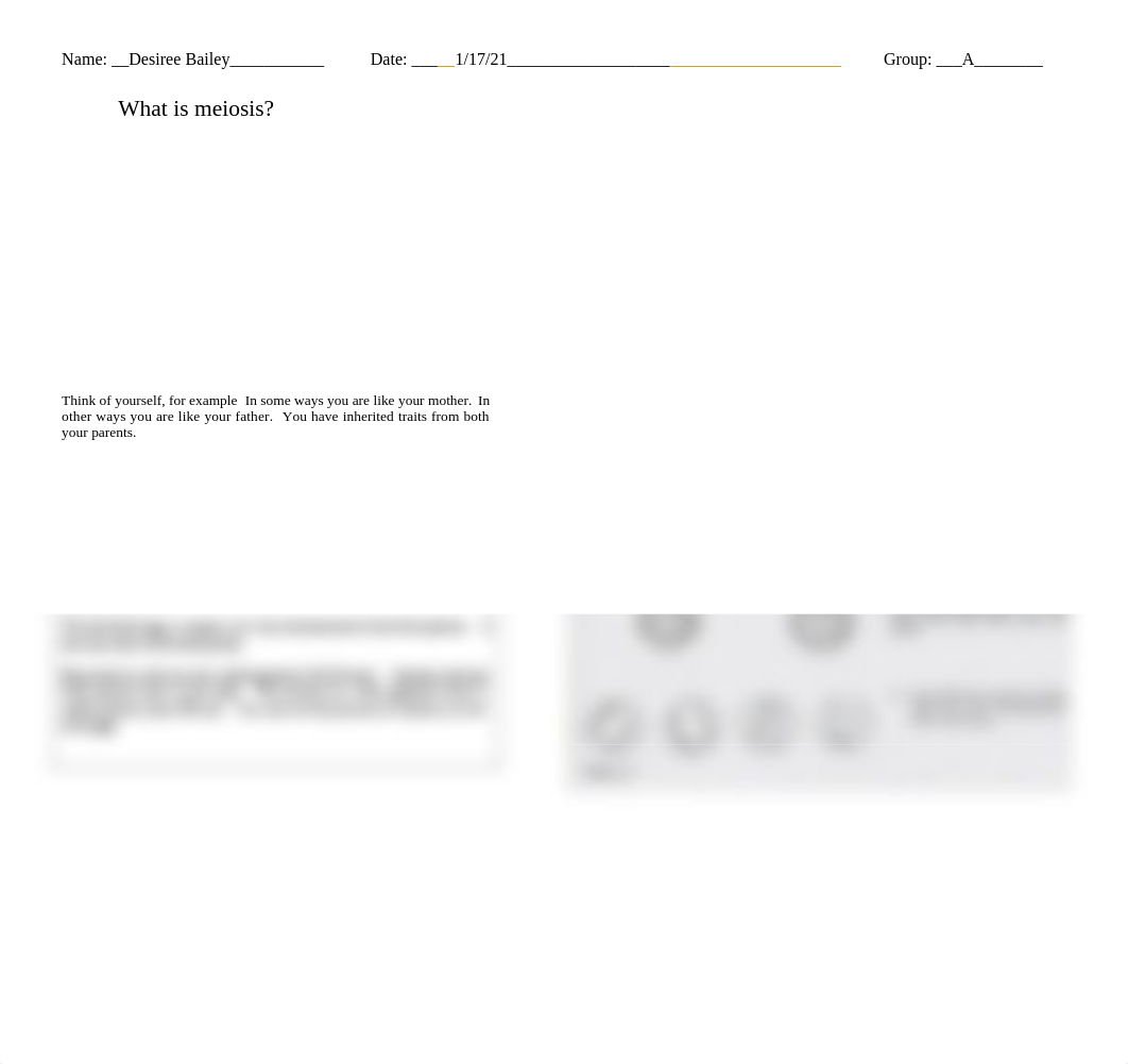 Meiosis WS.docx_dl7z8ykkw6z_page1