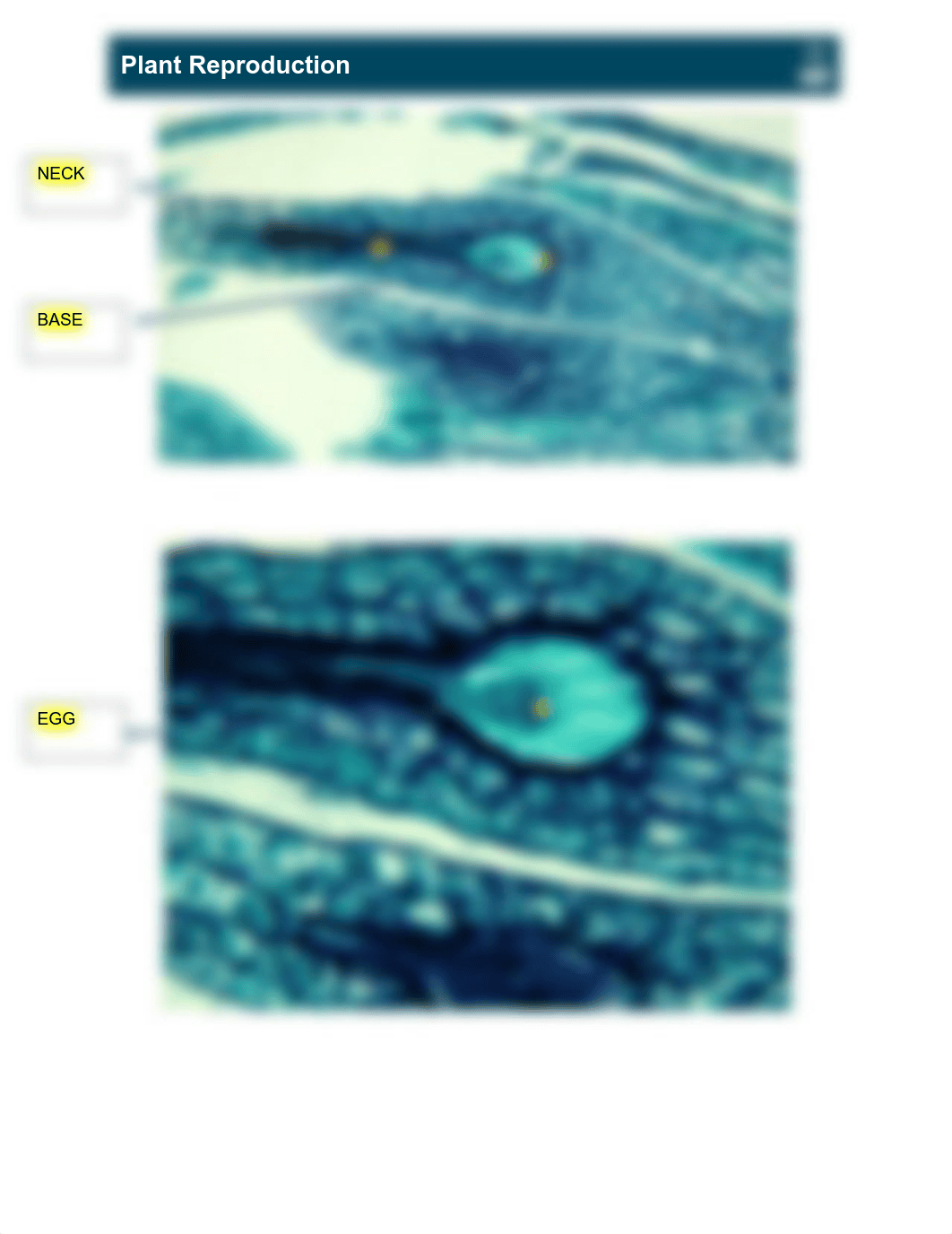 LAB+22+Steven+Avila.pdf_dl81ovwmis7_page2