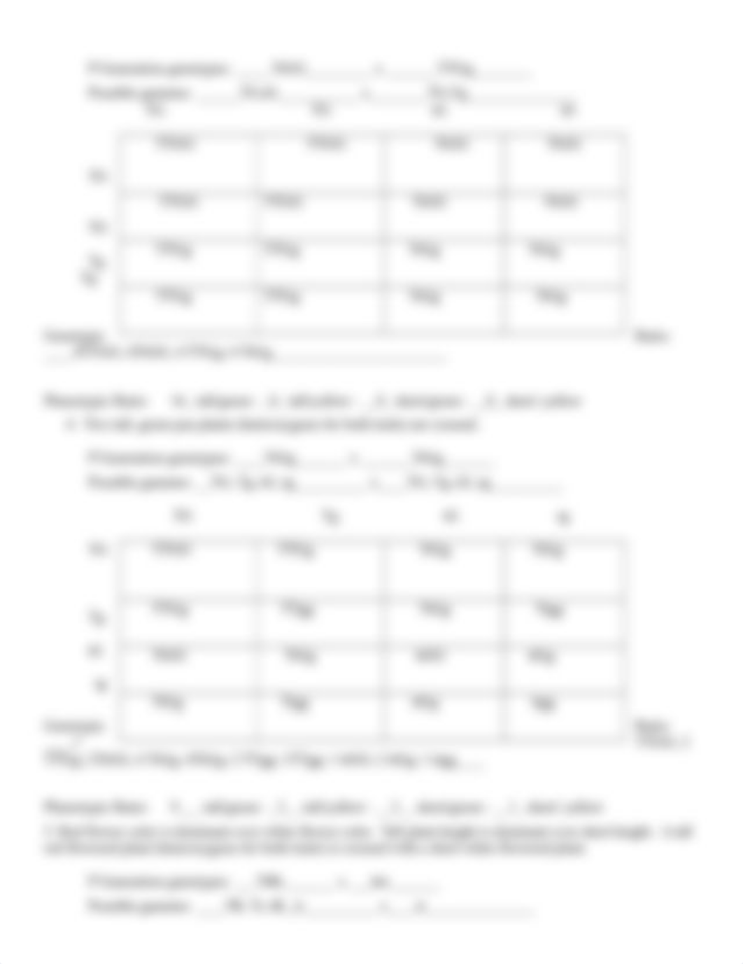 Dihybrid cross worksheet.doc_dl82r5an24p_page2