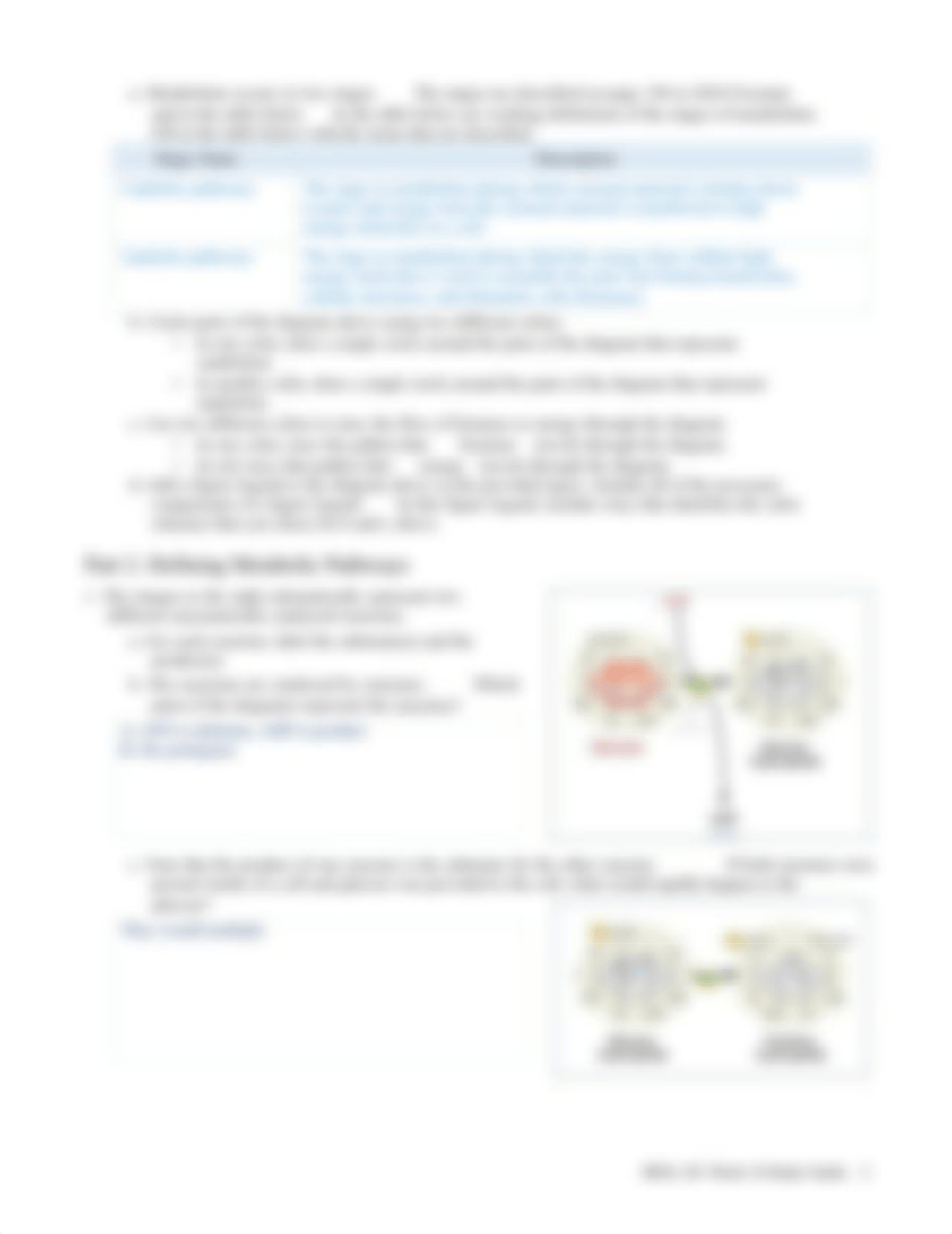 BIOL201 SG W10 Biomass Metabolism.pdf_dl847ci4r31_page2