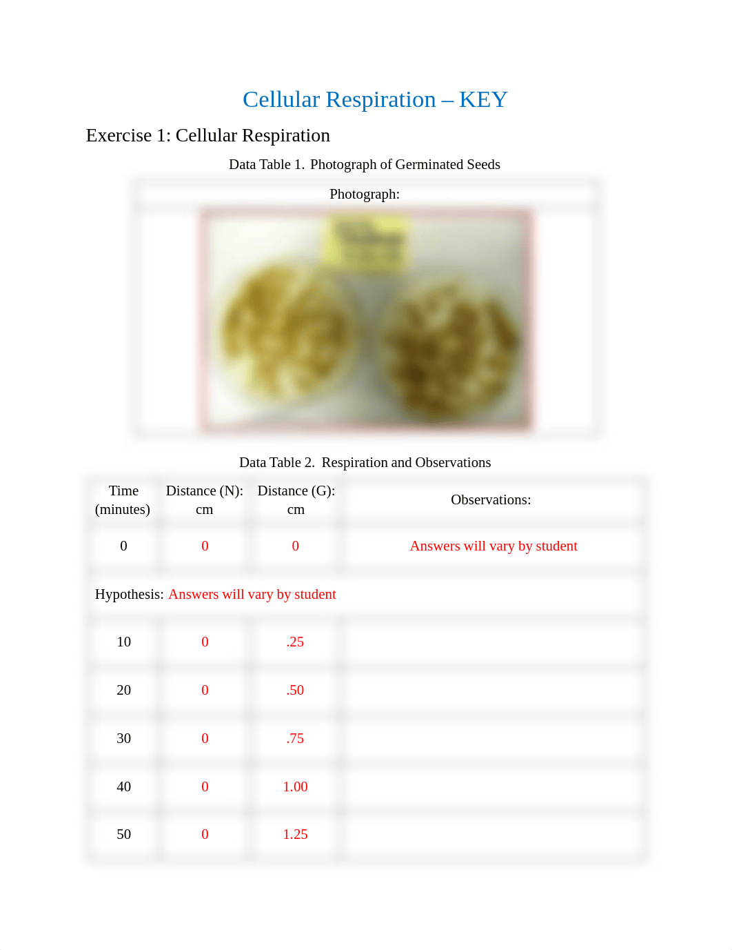 Cellular Respiration_KEY.pdf_dl86n24d4iv_page1