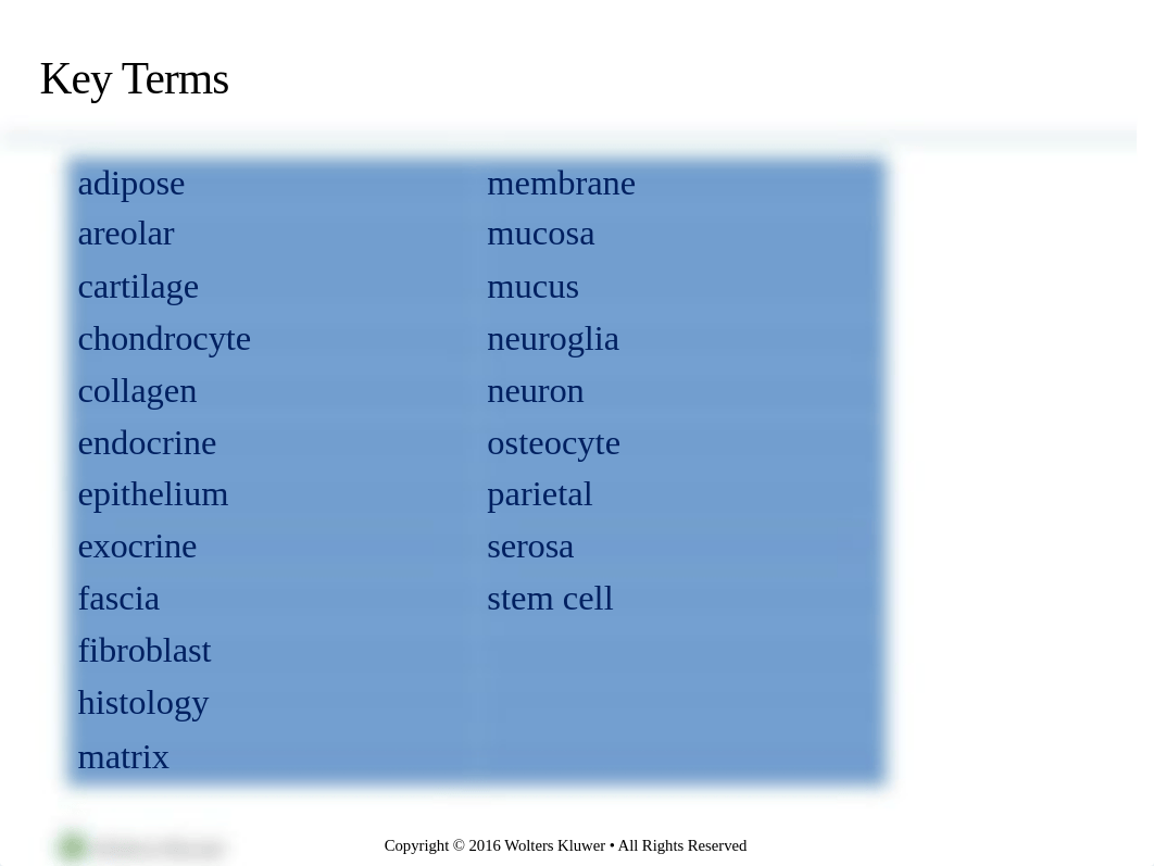 chapter 4 tissues. membranes. glands  mj revised.pptx_dl8t0d3e8sa_page2