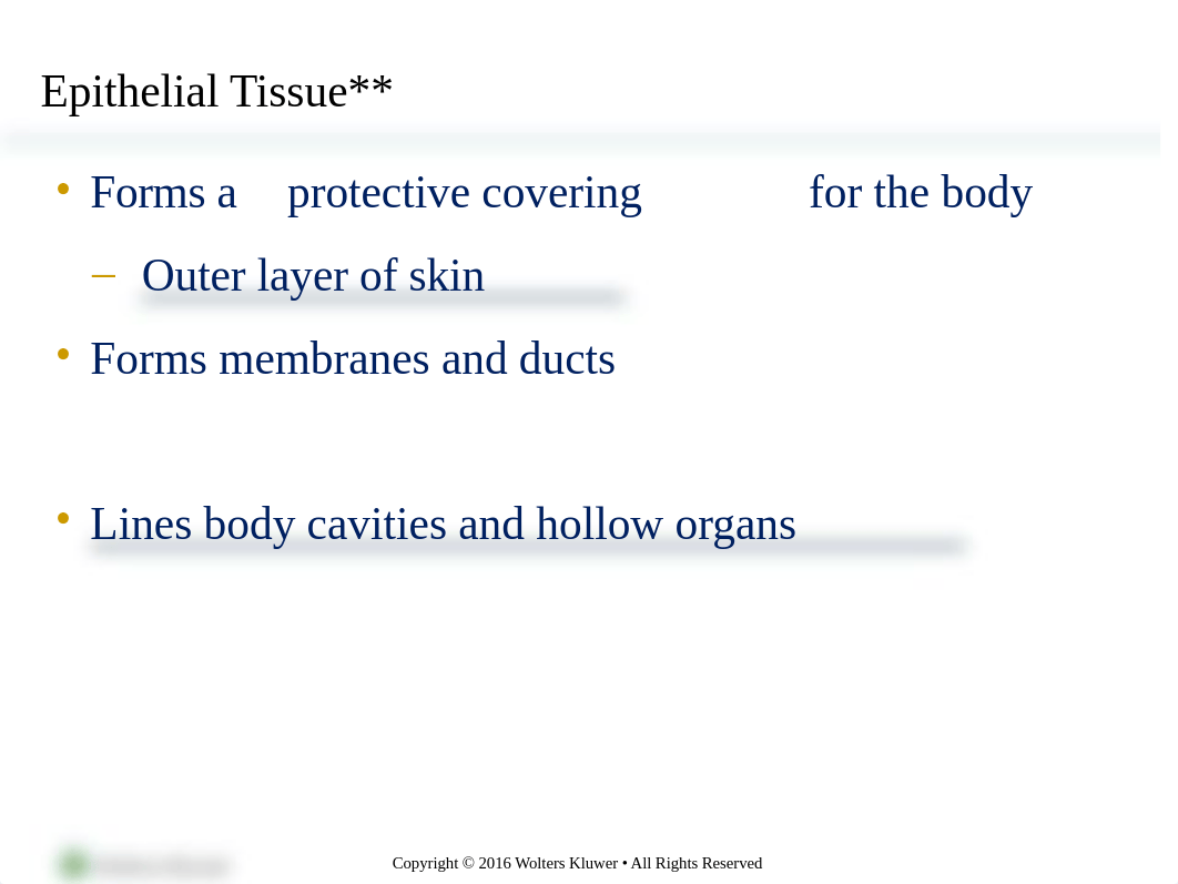 chapter 4 tissues. membranes. glands  mj revised.pptx_dl8t0d3e8sa_page4