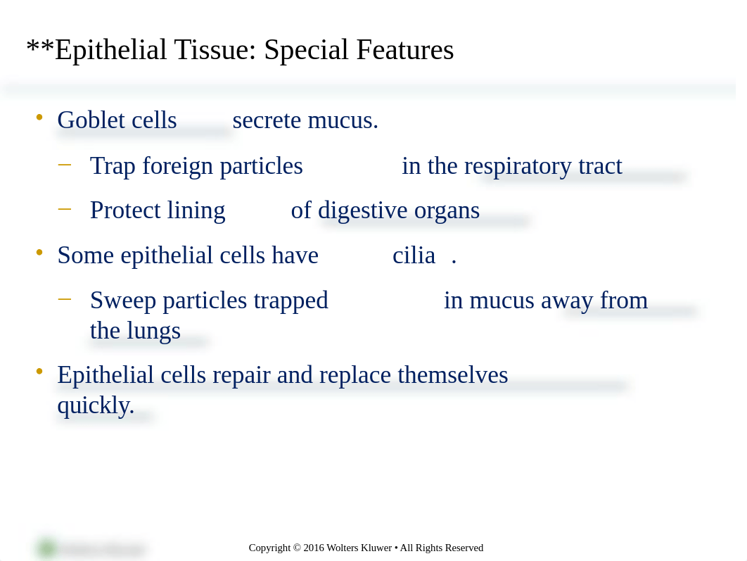 chapter 4 tissues. membranes. glands  mj revised.pptx_dl8t0d3e8sa_page5