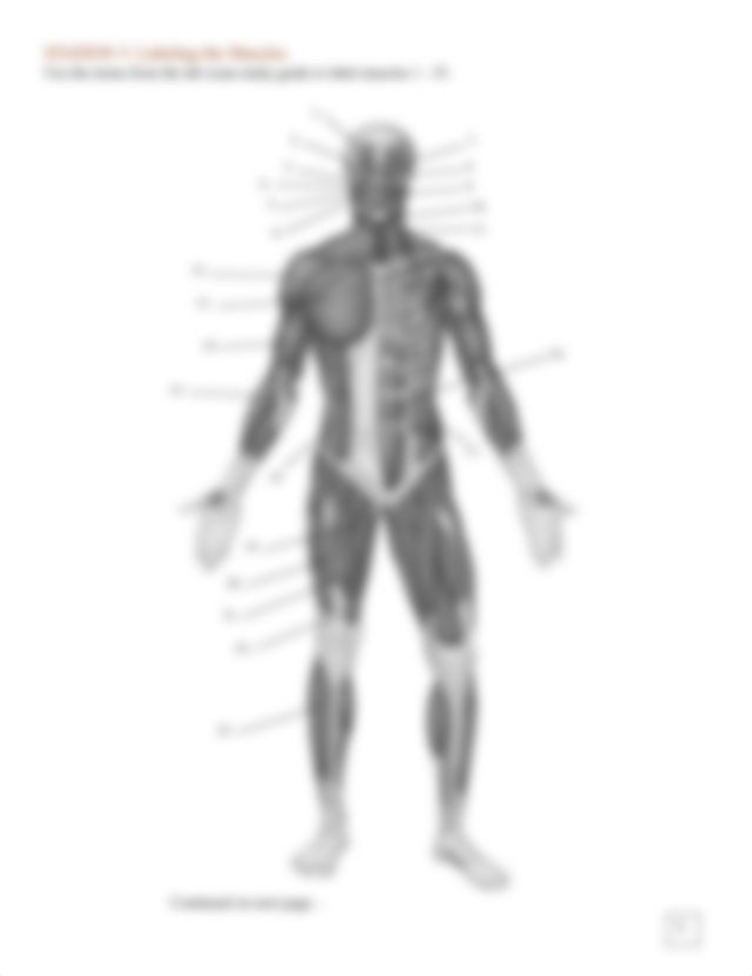 Bone and Muscle Tissue Worksheet.pdf_dl8us2d1uc0_page5