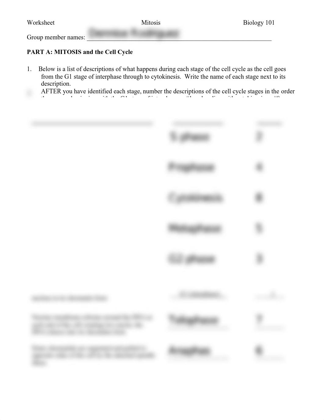 L07 - fillable cell cycle.pdf_dl8xnkz7rgk_page1