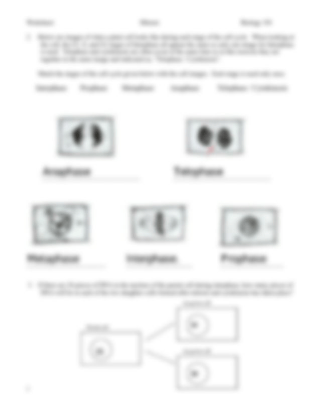 L07 - fillable cell cycle.pdf_dl8xnkz7rgk_page2