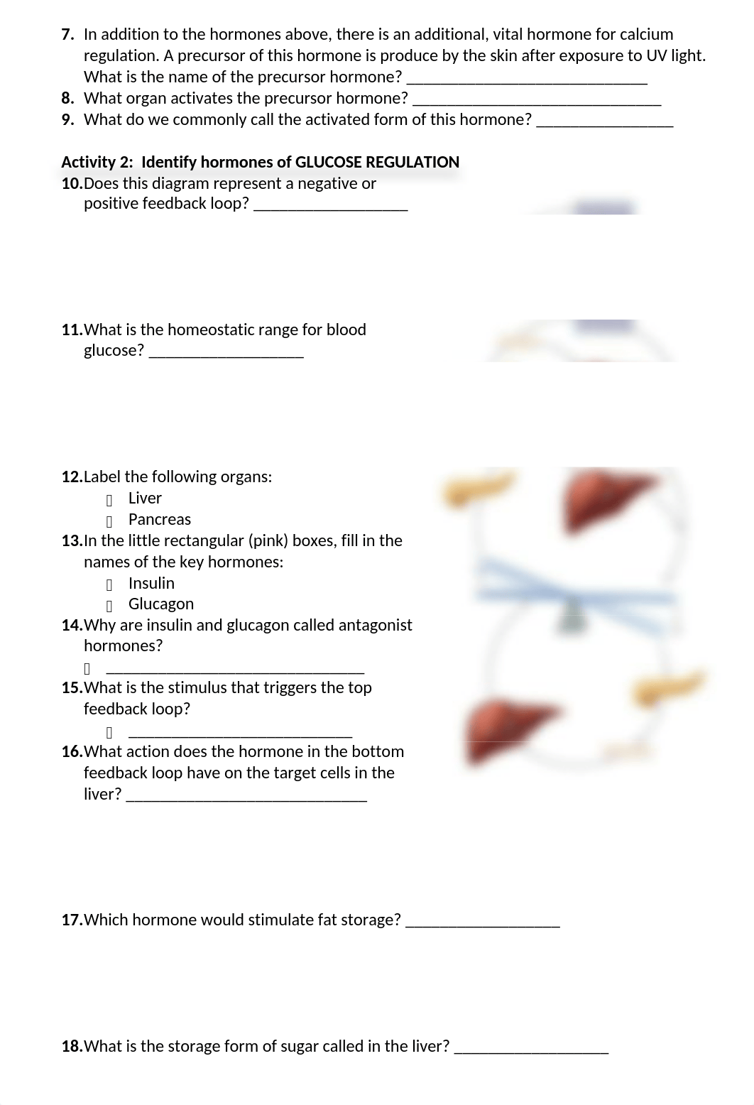 BIO 169 Lab # 2 Endocrine Physiology(1) (1).docx_dl971dbcfdn_page2