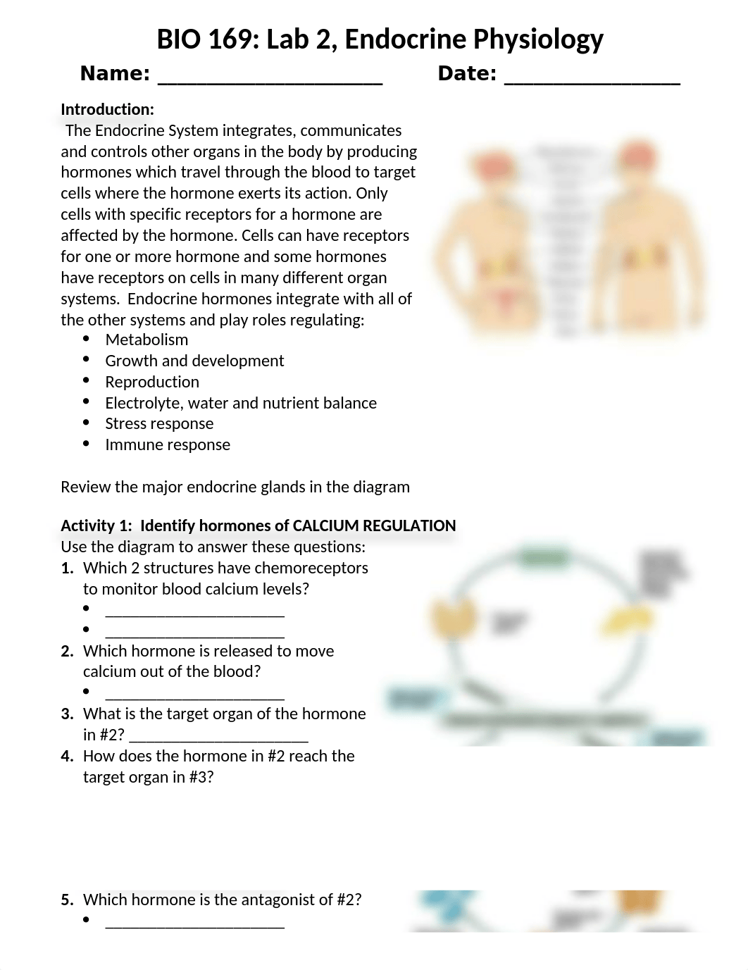 BIO 169 Lab # 2 Endocrine Physiology(1) (1).docx_dl971dbcfdn_page1