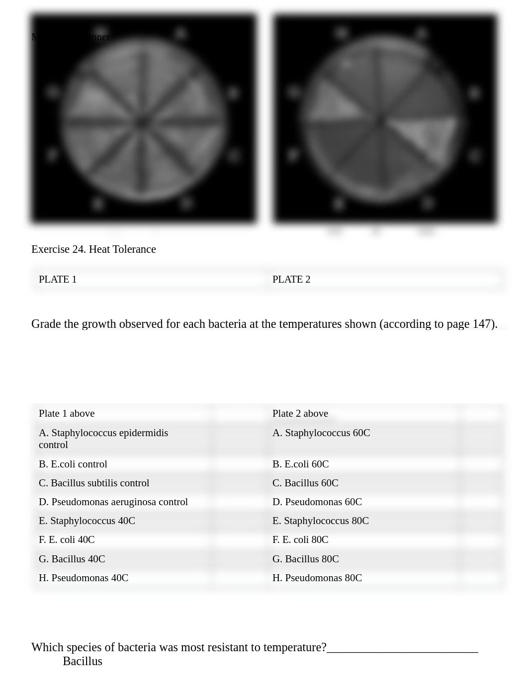 EXERCISE 24 & 25 Physical & Antibiotics.docx_dl97xpgiw3f_page1