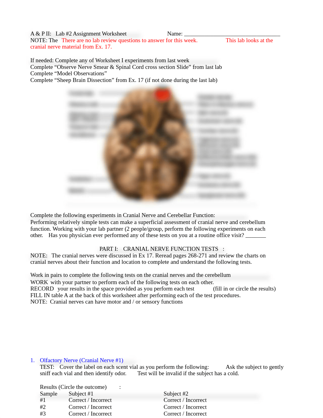 A_P II lab2 worksheet S18 8ed.doc_dl9ehqfv7er_page1