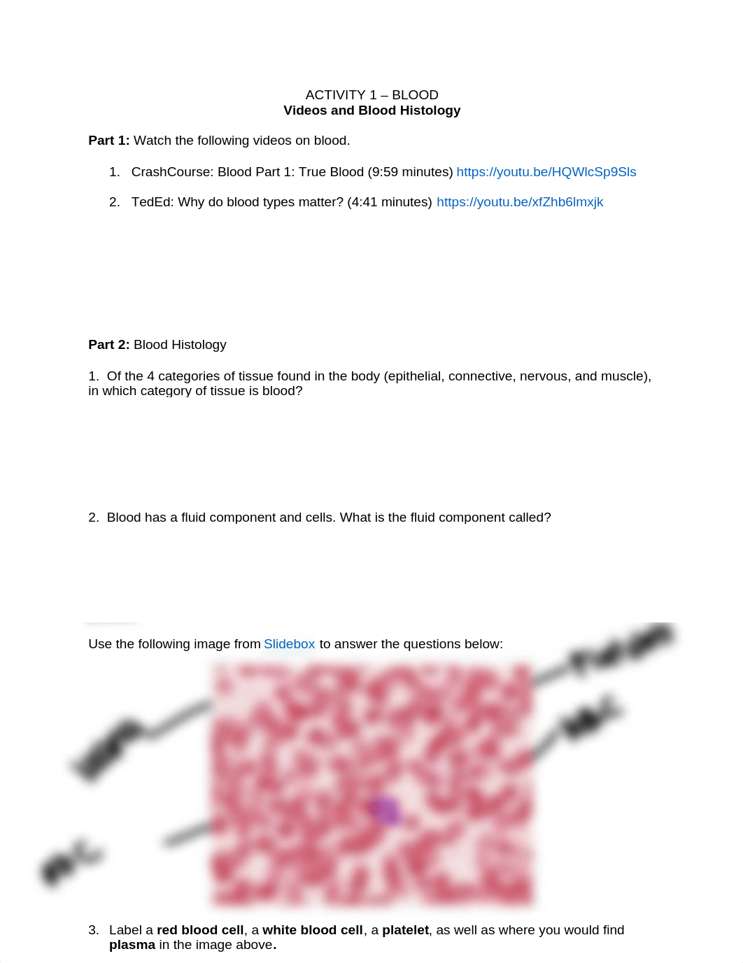 Bio 114 Online Lab 4 Activity Packet Spring 2021.docx_dl9j1wy1xbm_page1