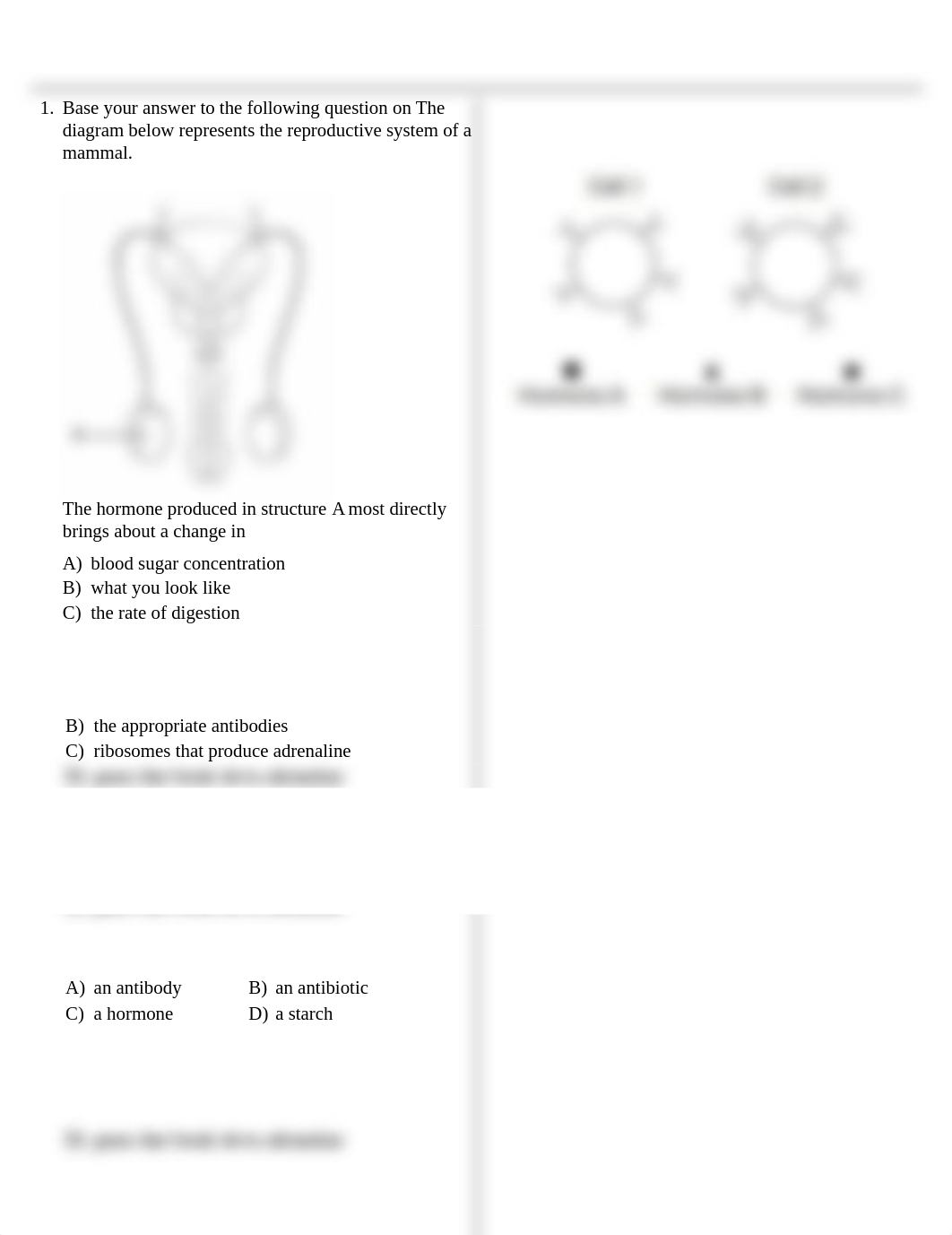 endocrine_TC.pdf_dl9kfmy4x23_page1